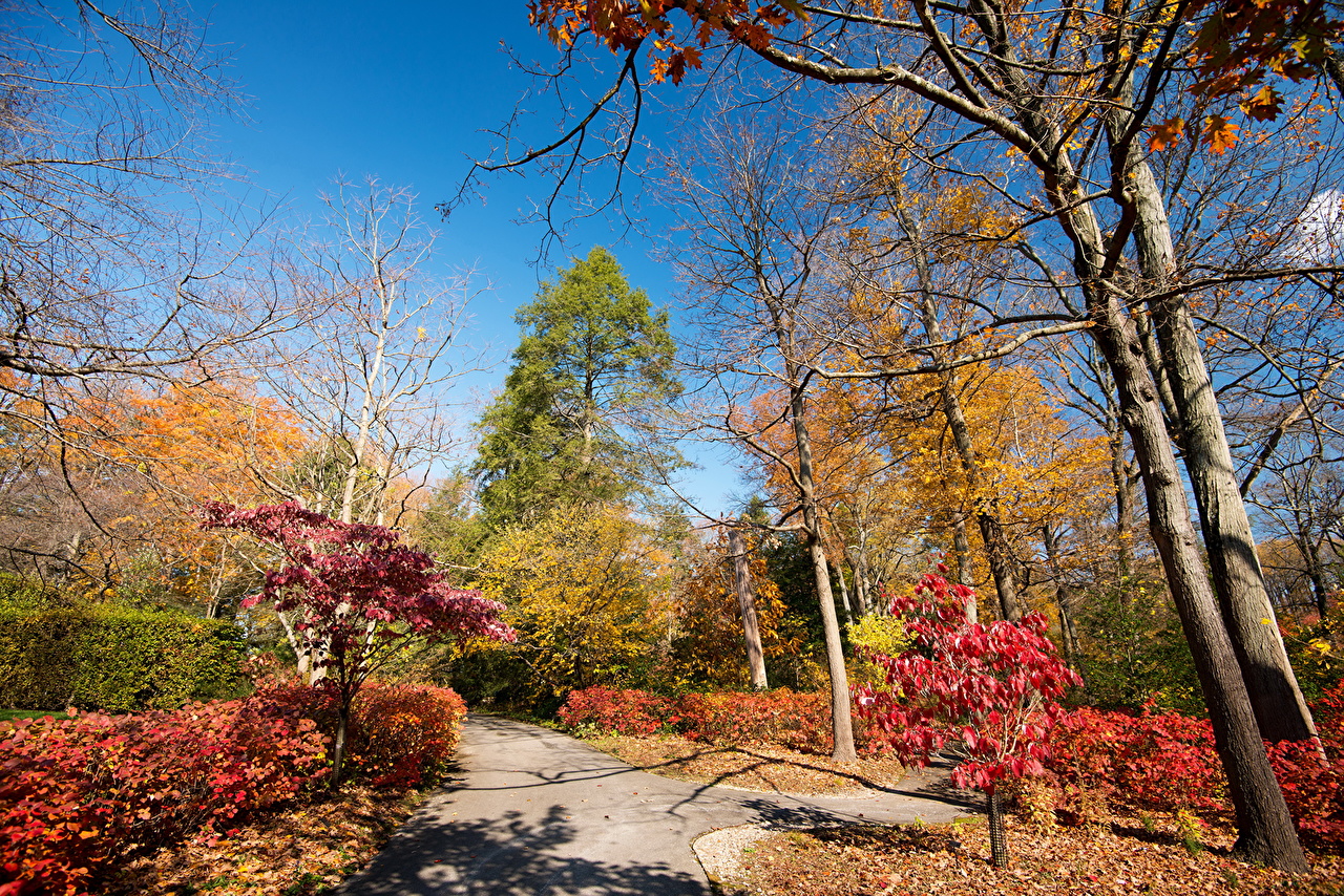 Autumn - HD Wallpaper 