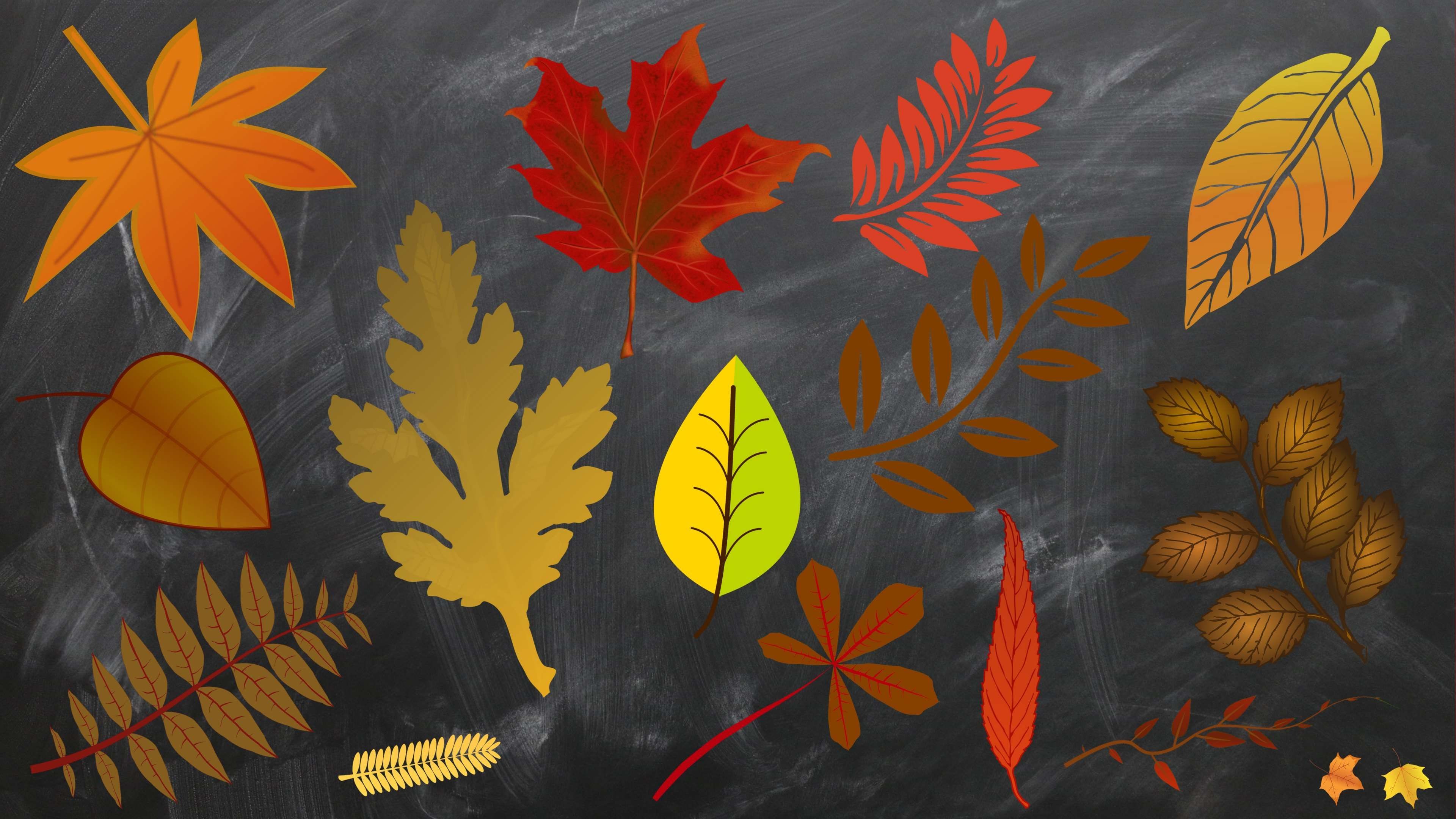 #autum #background #burlap #chalkboard #desktop Backgrounds - Autumn - HD Wallpaper 
