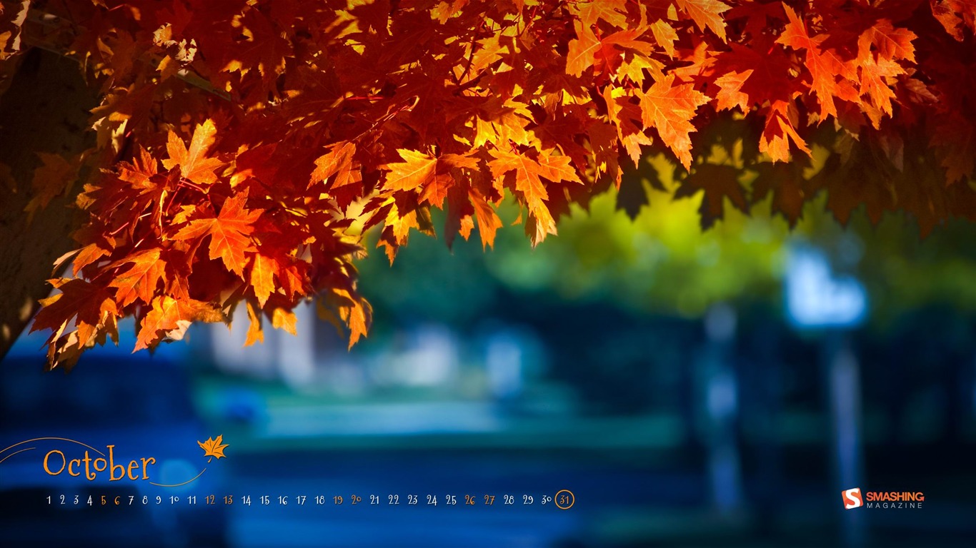 Fall Colors-october 2013 Calendar Wallpaper2013 - October Wallpaper Hd - HD Wallpaper 