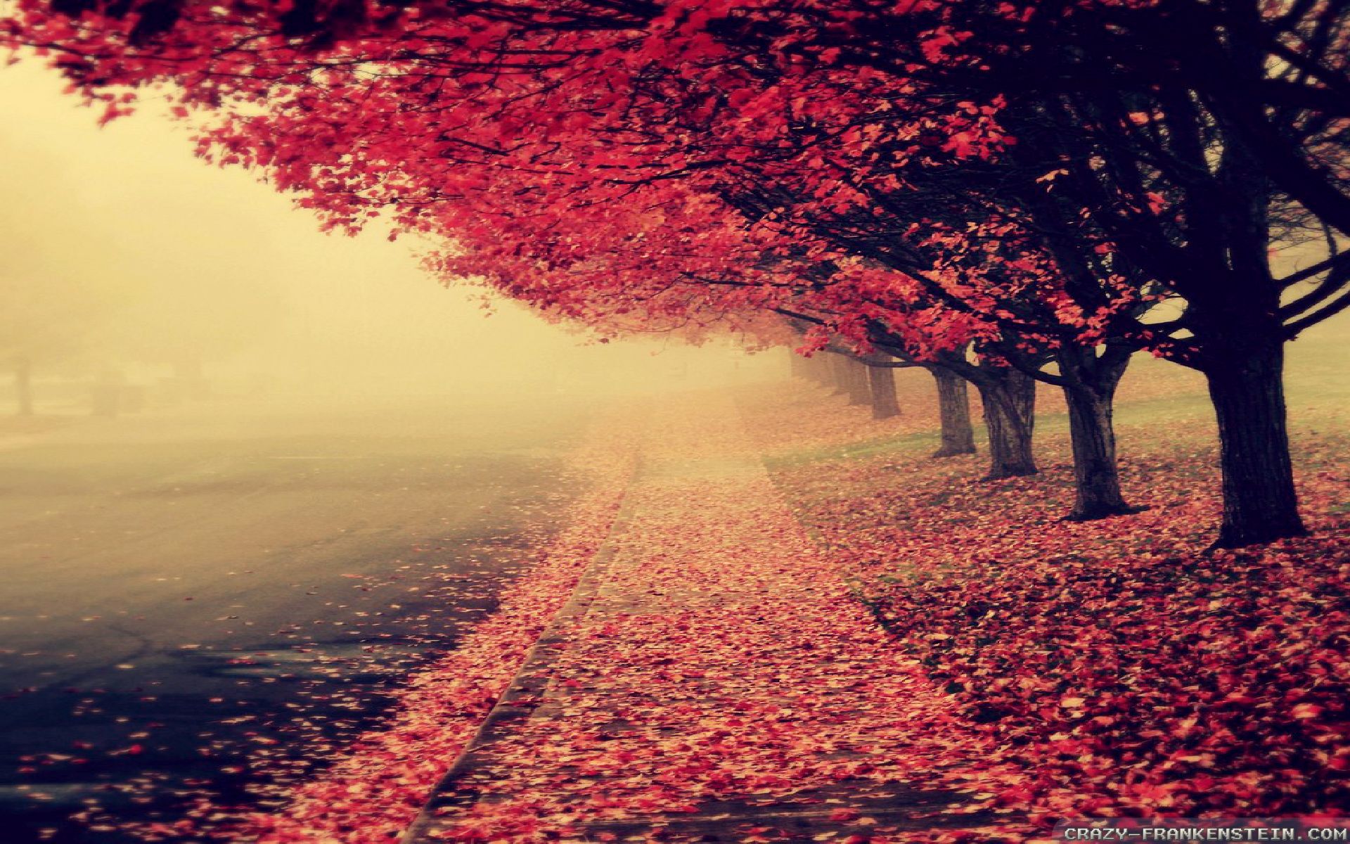 Autumn In Town - HD Wallpaper 