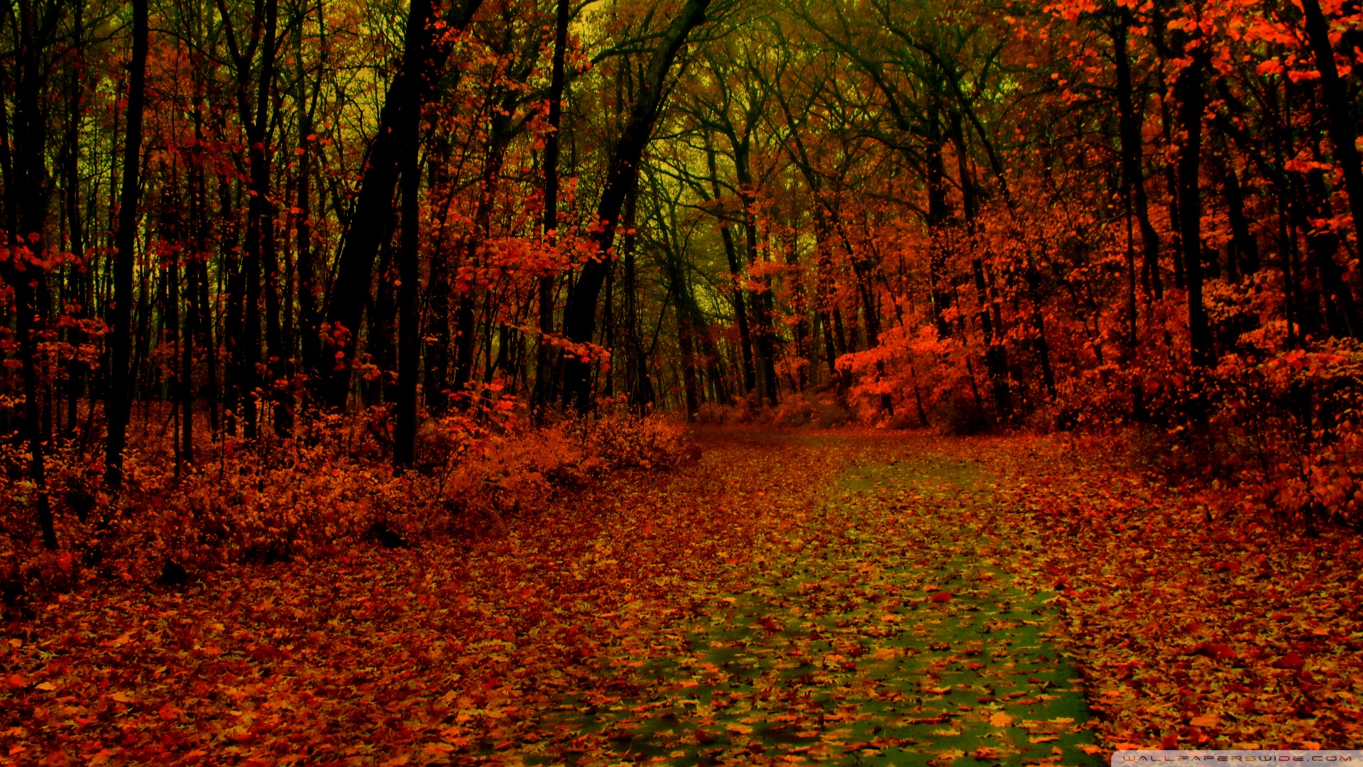 Beautiful Fall Desktop Wallpaper-4w97o8s - Beautiful Desktop Backgrounds Fall - HD Wallpaper 