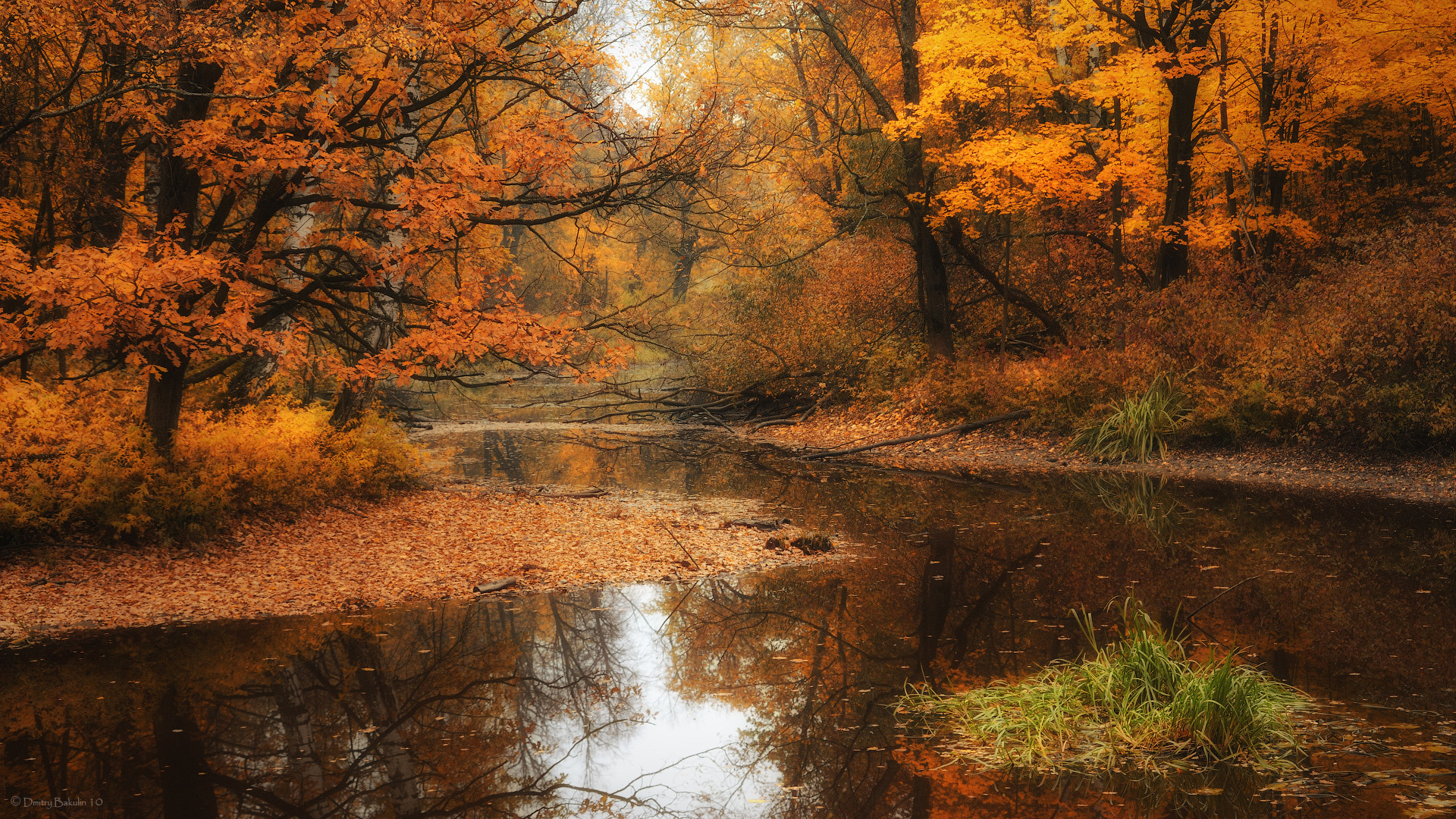 Desktop Wallpapers Autumn River Hd - HD Wallpaper 