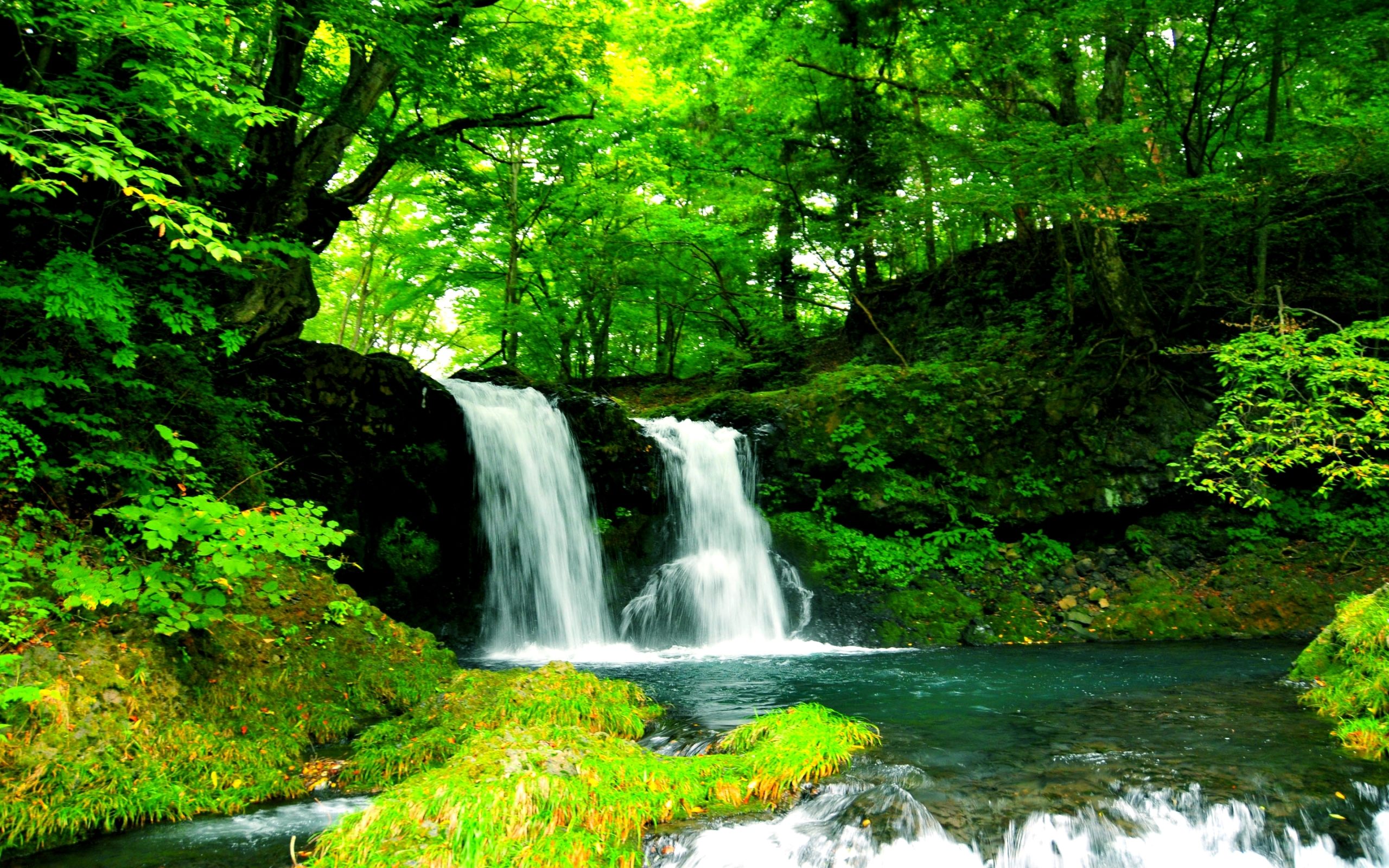 Falls With Nature - HD Wallpaper 