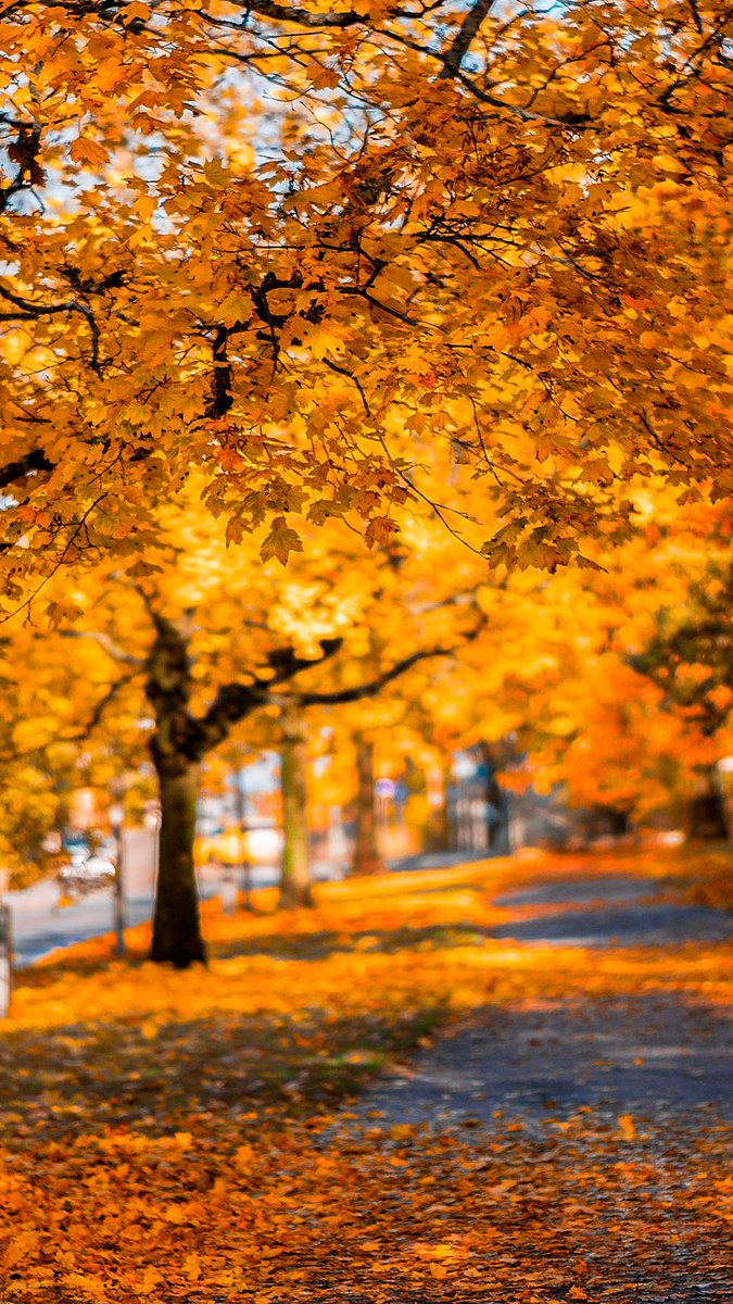 Good Afternoon Images With Beautiful Quotes - HD Wallpaper 