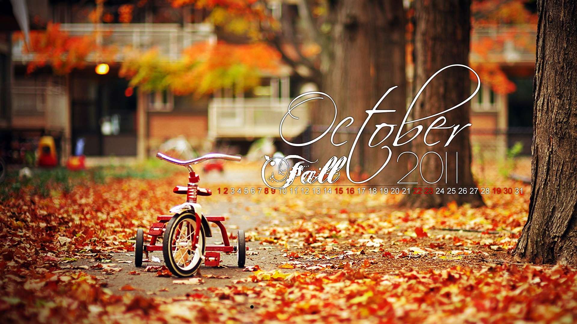 Autumn Fall October Calendar - October Autumn Fall - HD Wallpaper 