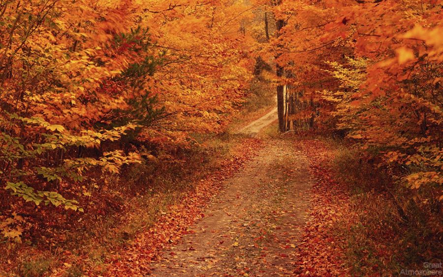 Amazing Landscape Scenery Wallpaper New England Autumn - Beautiful New England Autumn - HD Wallpaper 