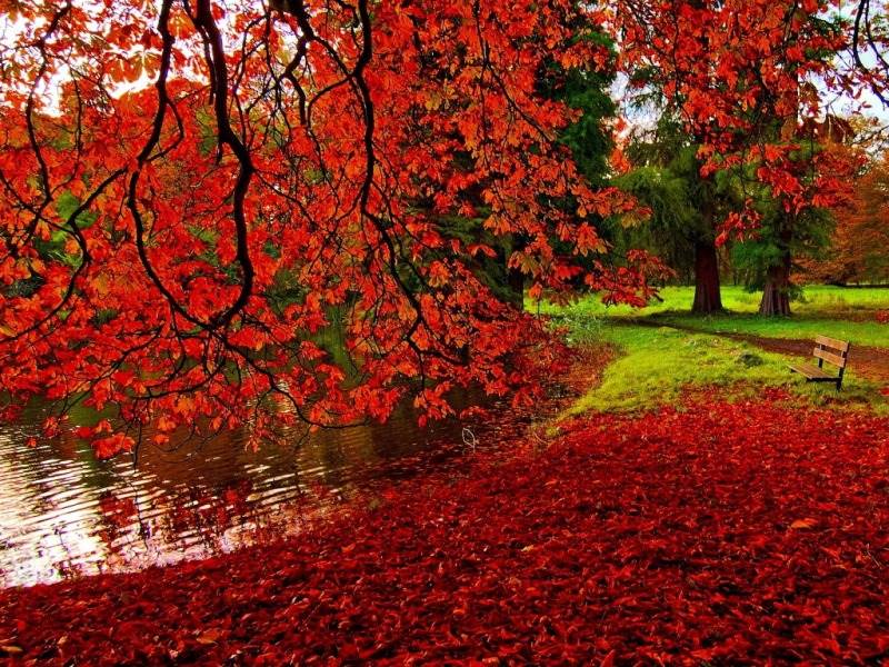 Beautiful Autumn Wallpapers Most Beautiful Places In - Romantic Natural Beautiful Scenery - HD Wallpaper 