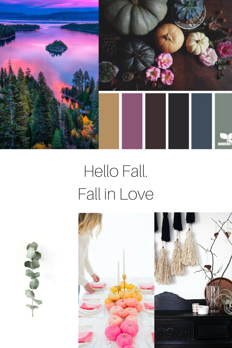 Color Scheme - HD Wallpaper 