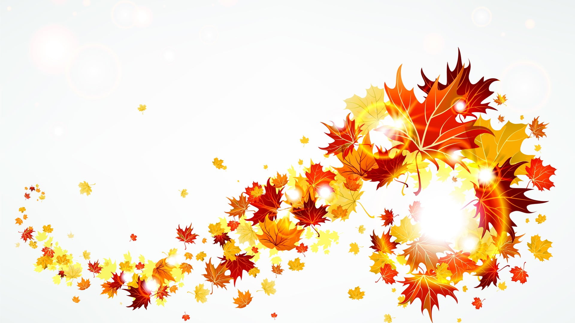 Transparent Fall Leaves Border - HD Wallpaper 