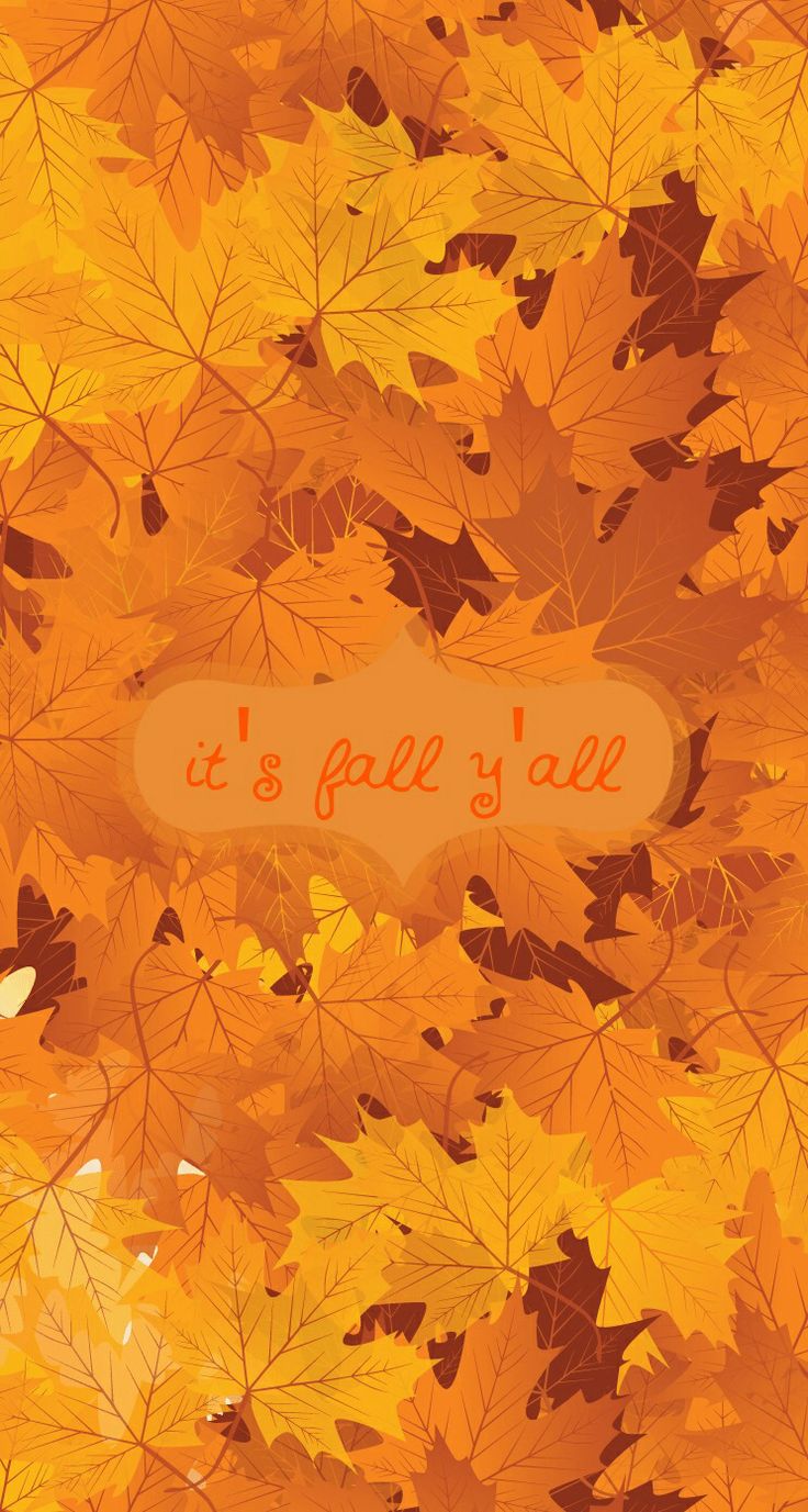 Images In High Quality - Fall Ipad Backgrounds Cute - HD Wallpaper 