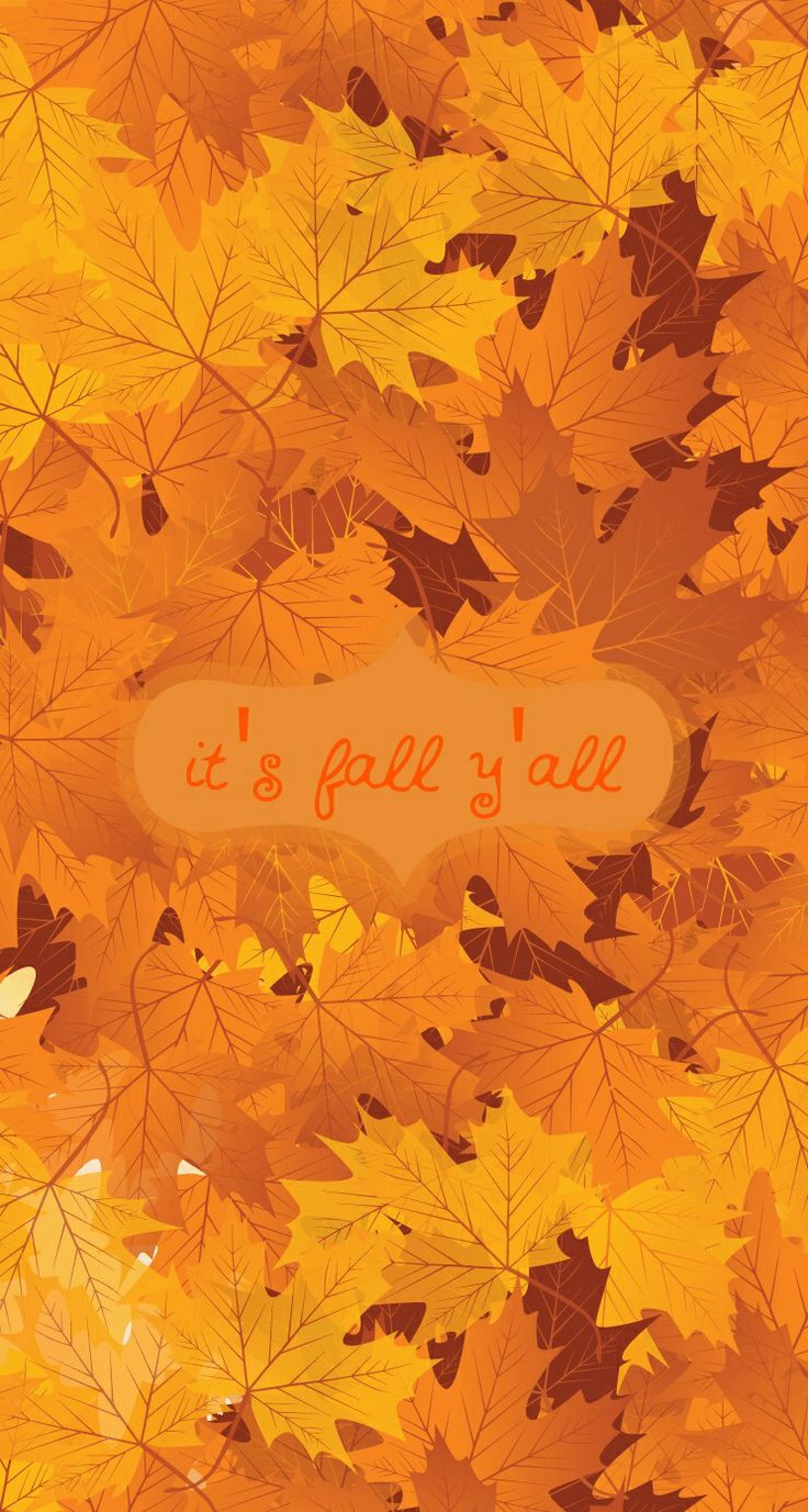 Images In High Quality Fall Ipad Backgrounds Cute 736x1377 Wallpaper Teahub Io