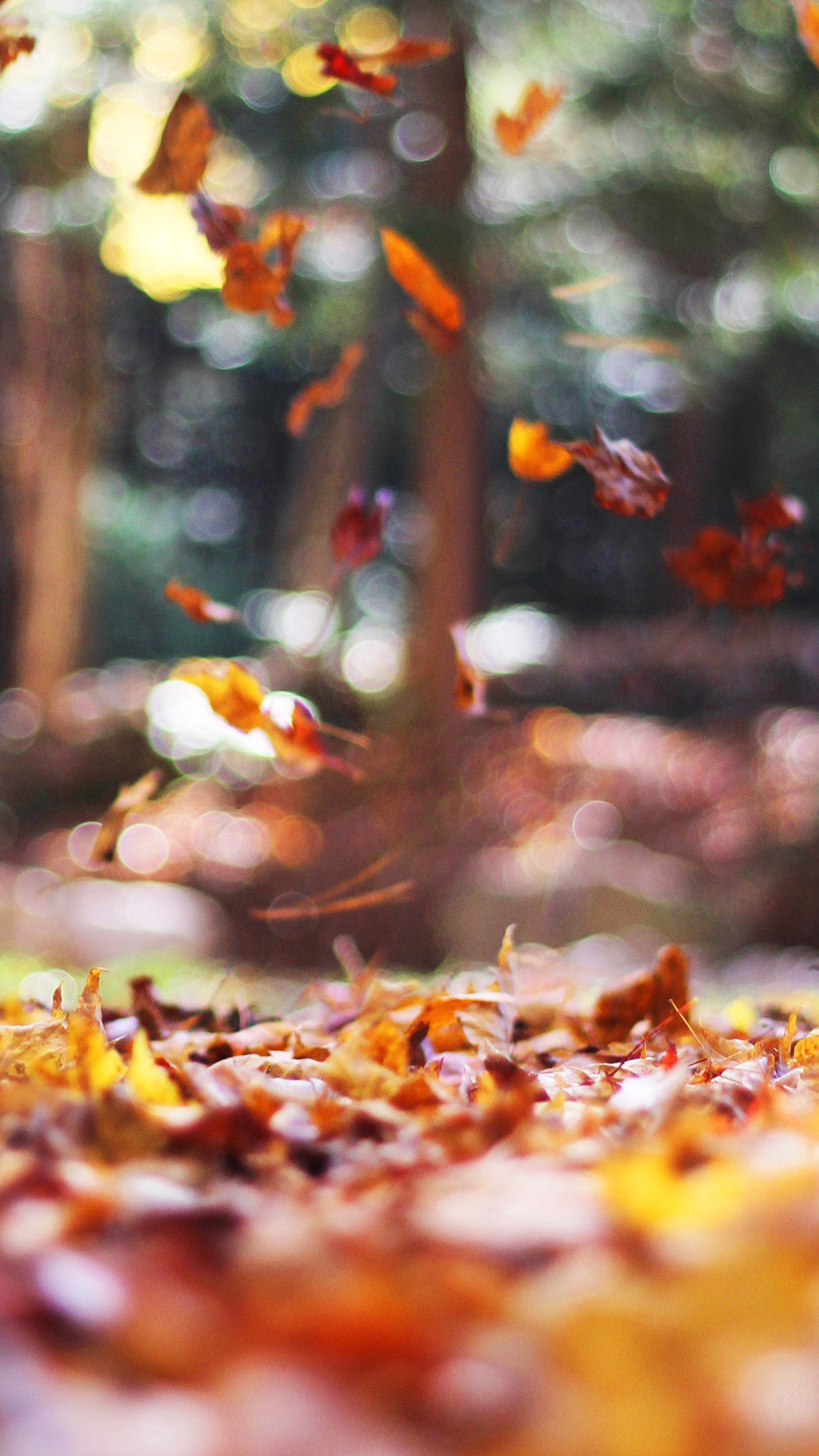 Fall Iphone Wallpaper Hd - HD Wallpaper 
