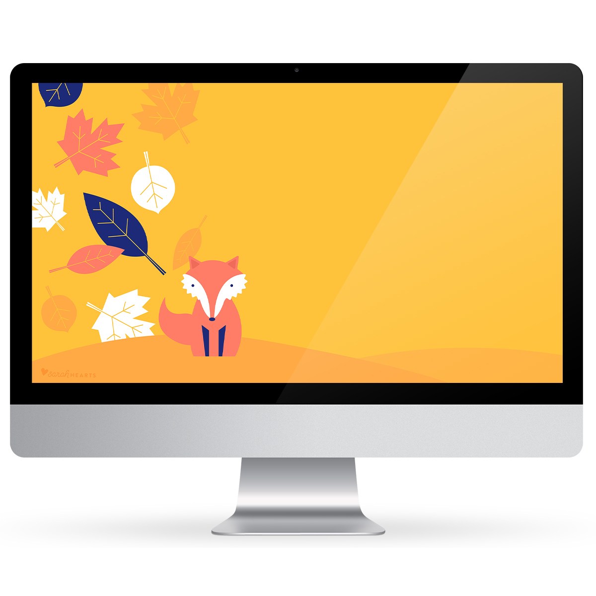 November 2019 Pie Calendar - HD Wallpaper 