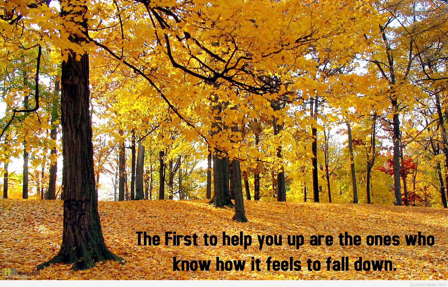 First Day Of Fall - Quotes About The First Day Of Autum - HD Wallpaper 