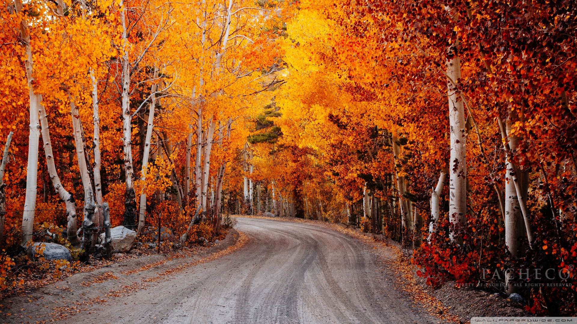 California Autumn - HD Wallpaper 