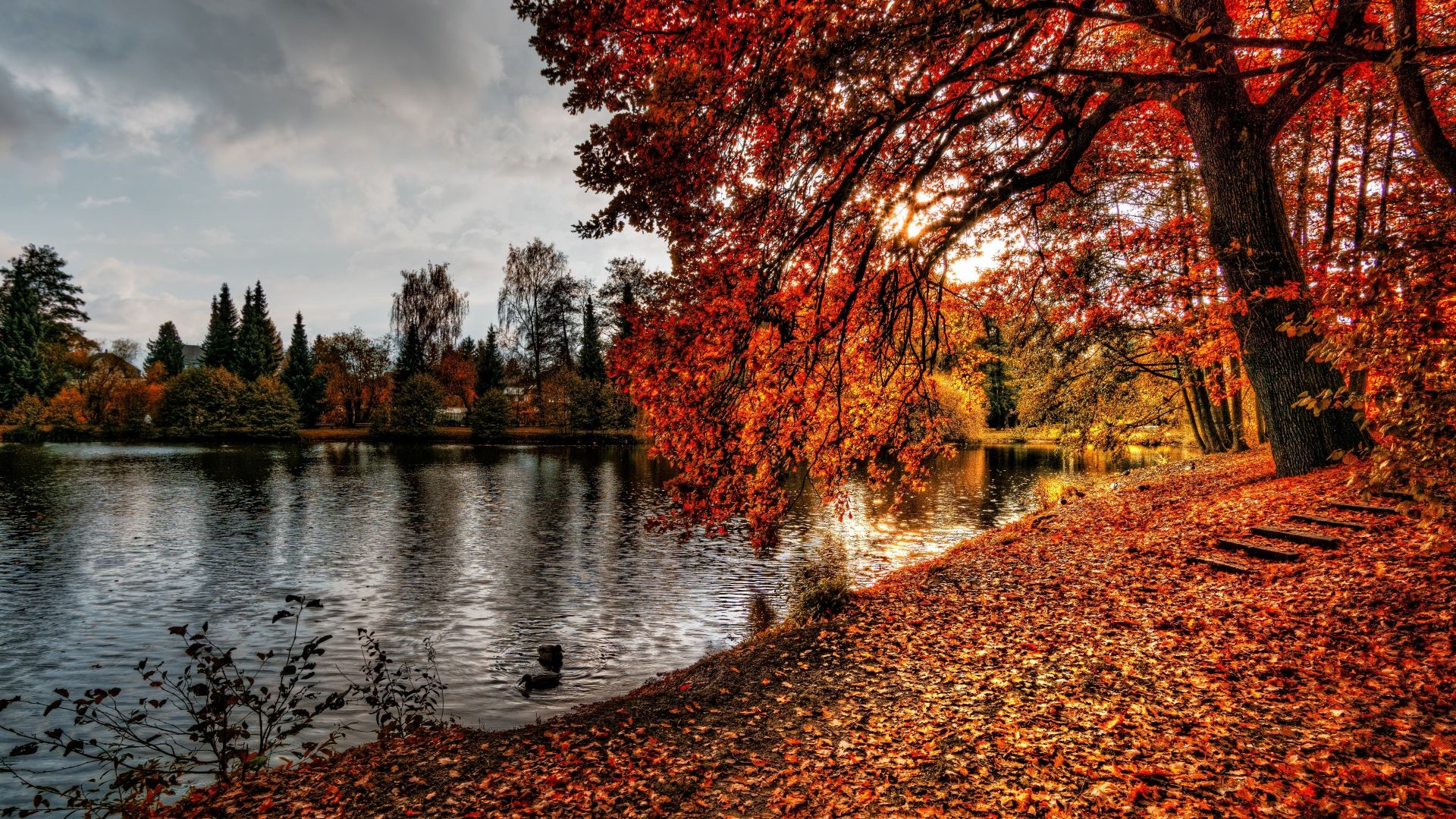 Autumn Forest By Lake - HD Wallpaper 