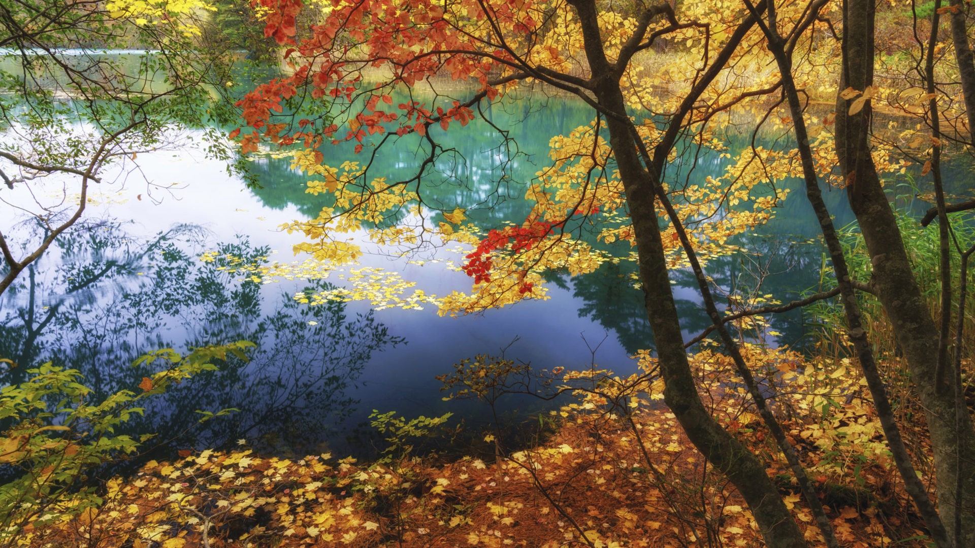 Autumn - HD Wallpaper 