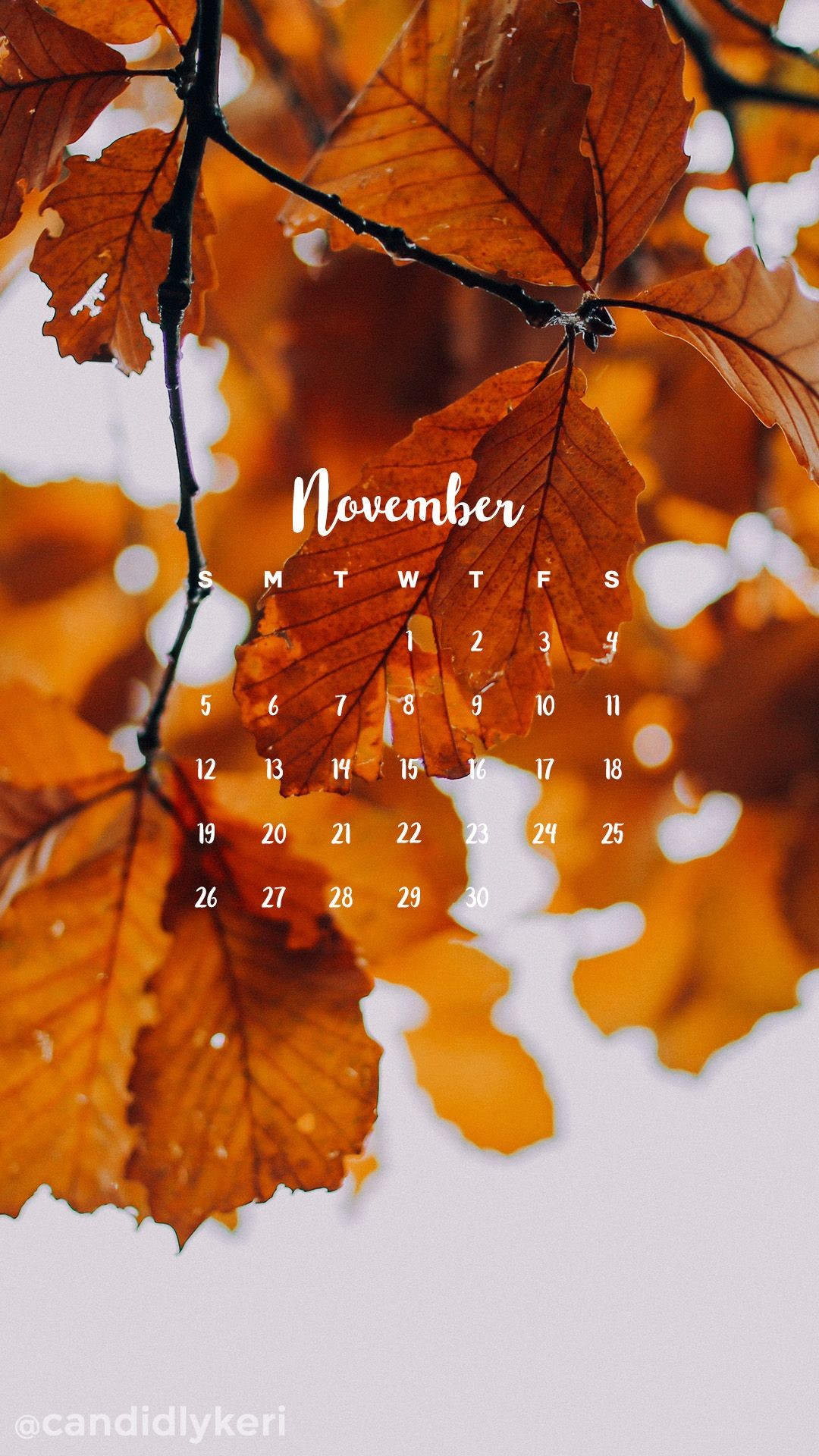 Golden Changing Fall Leaves November Calendar 2017 - November Phone Wallpaper 2019 - HD Wallpaper 