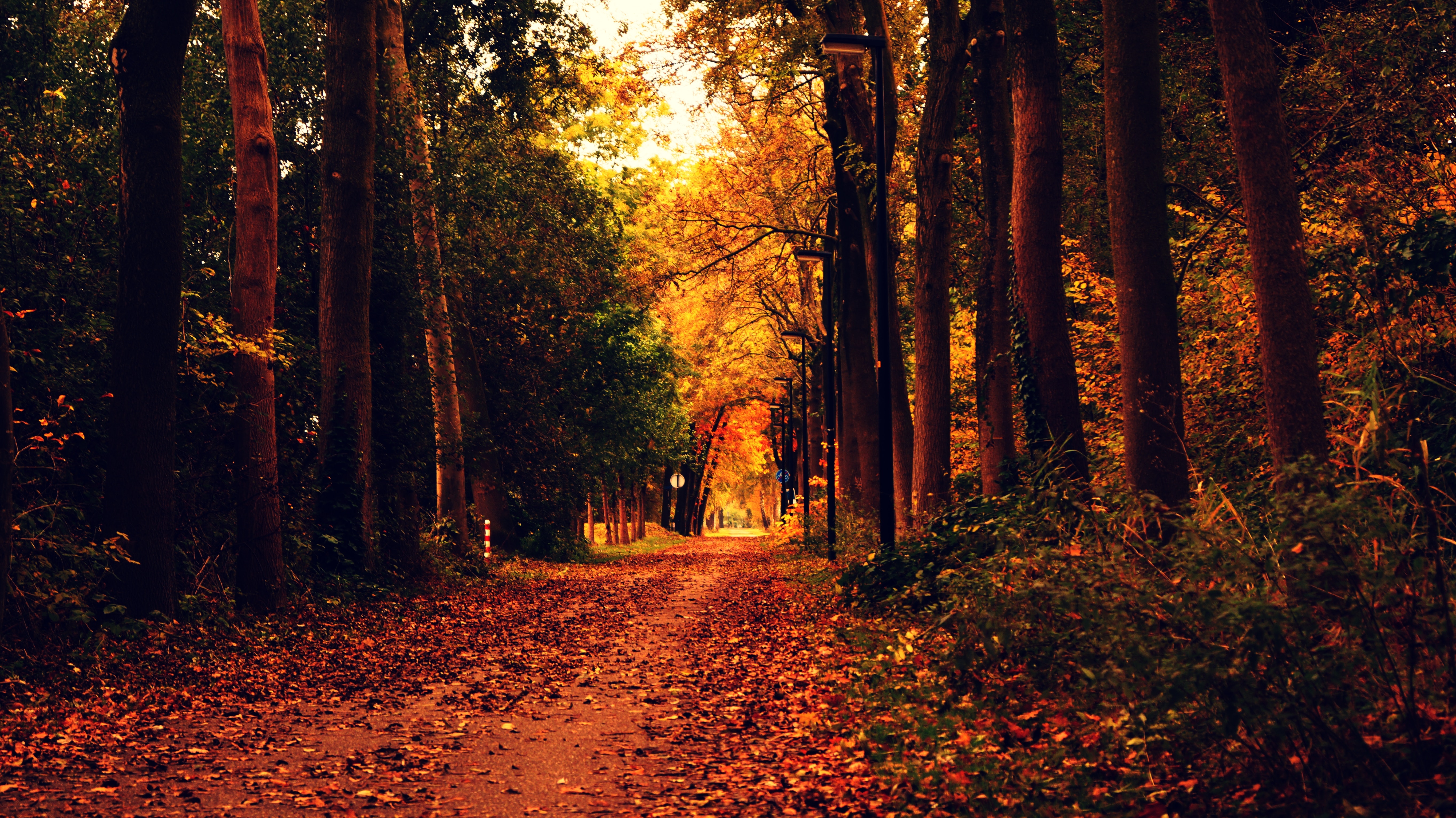 India Led Tv - HD Wallpaper 