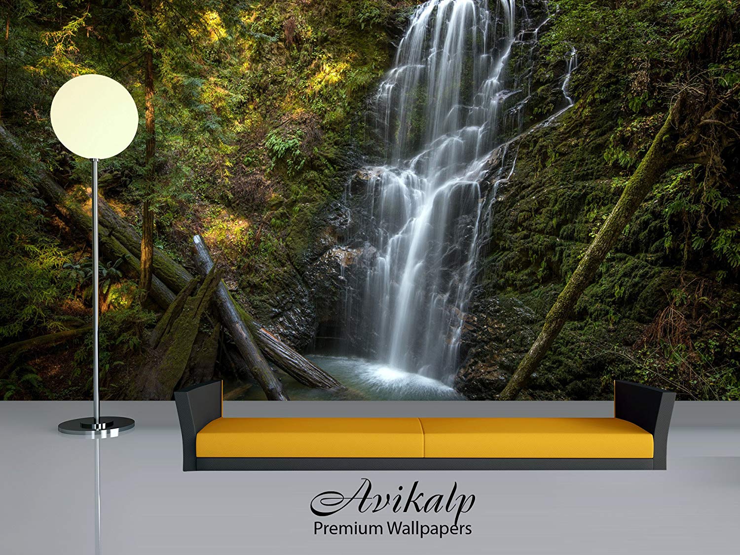 Big Basin Redwoods State Park - HD Wallpaper 