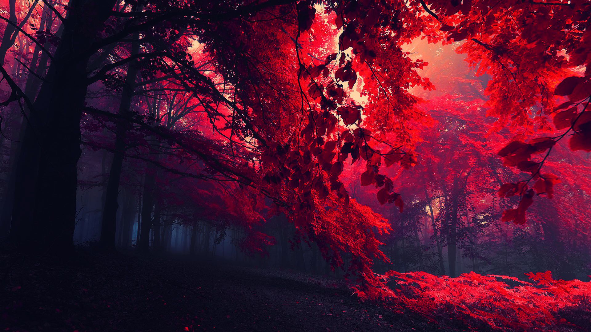 Pc Wallpaper 4k 1920x1080 Wallpaper Teahub Io