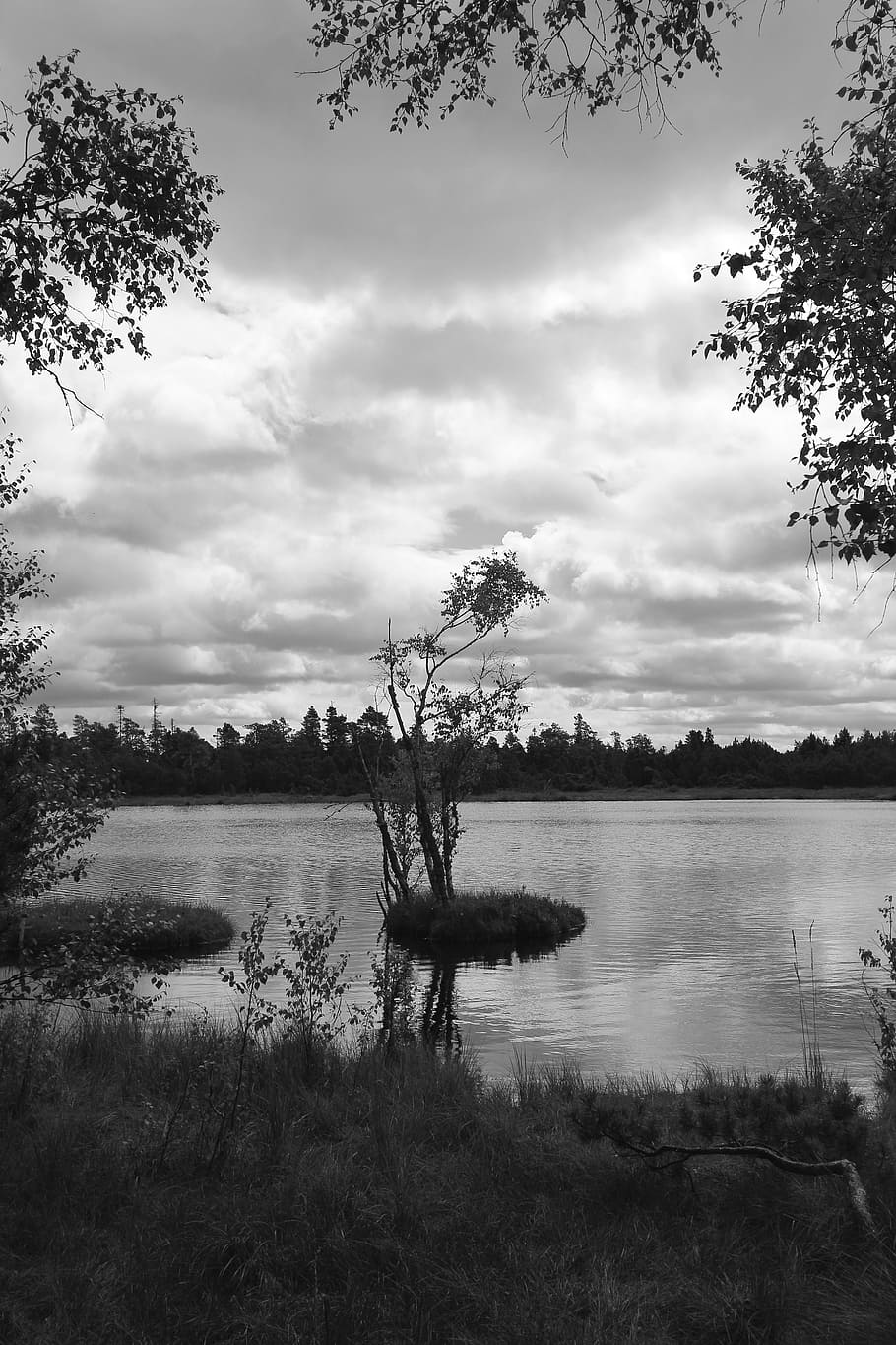 Moor, Gloomy, Mystical, Landscape, Nature, Mood, Moorland, - Monochrome - HD Wallpaper 