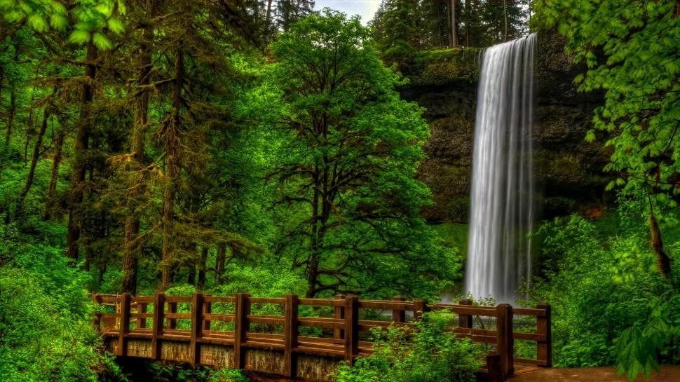 Waterfall In Green Forest Wallpaper,nature Hd Wallpaper,view - Silver Falls State Park - HD Wallpaper 