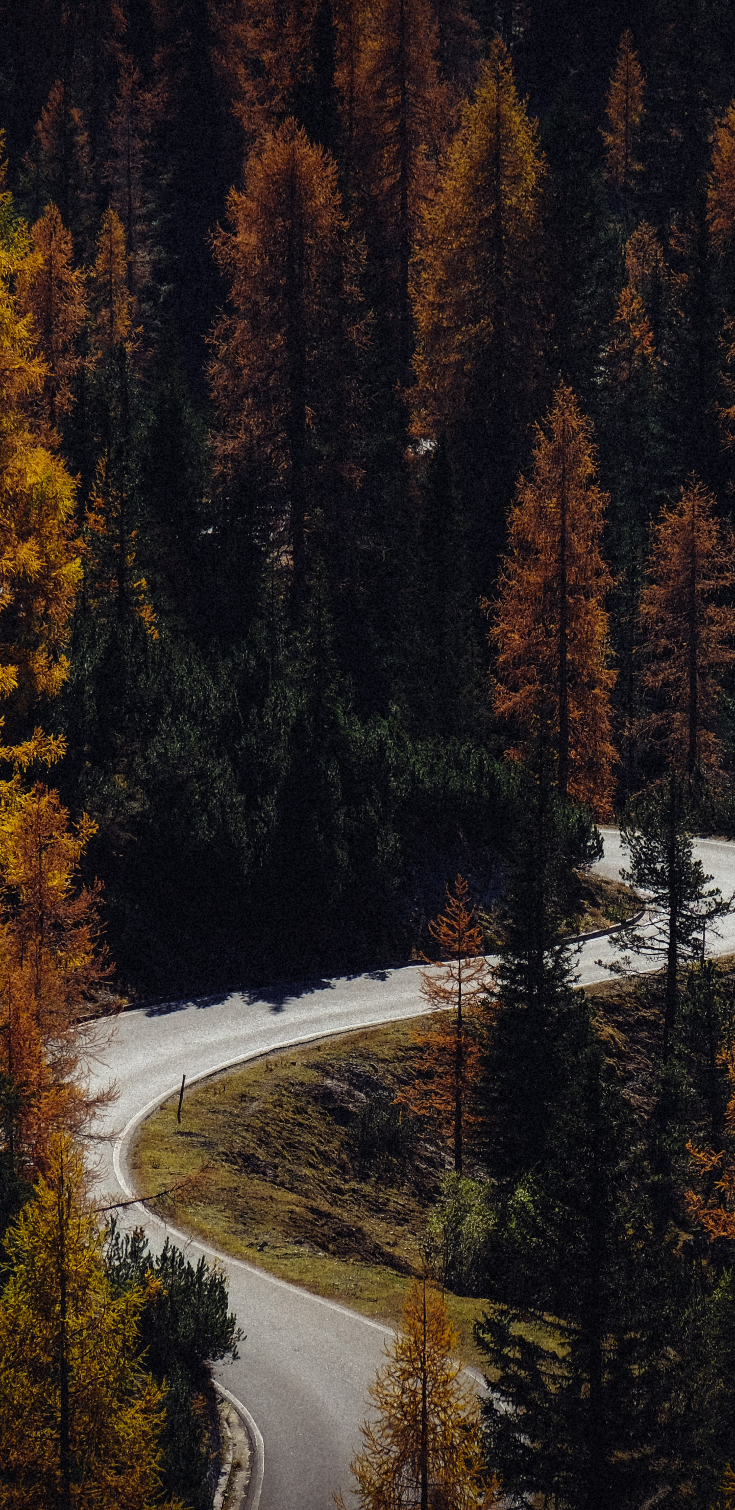 Autumn Nature Wallpaper - HD Wallpaper 