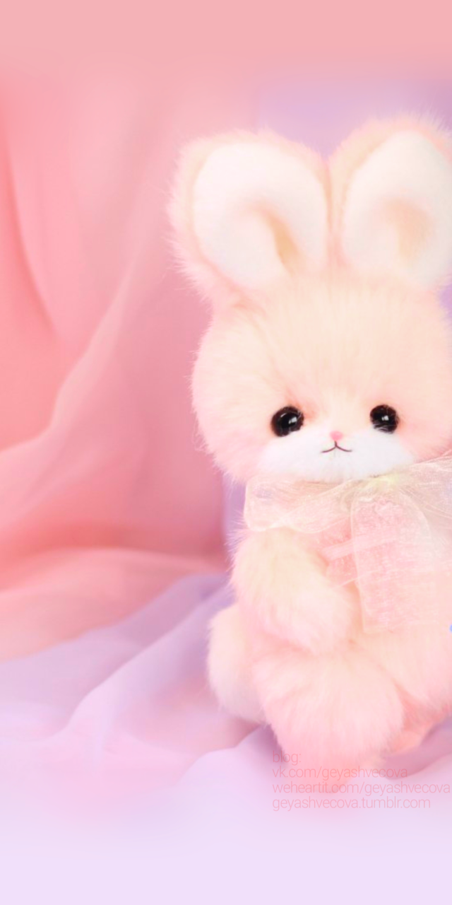 Accessories, Animals, And Baby Image - Stuffed Toy - HD Wallpaper 
