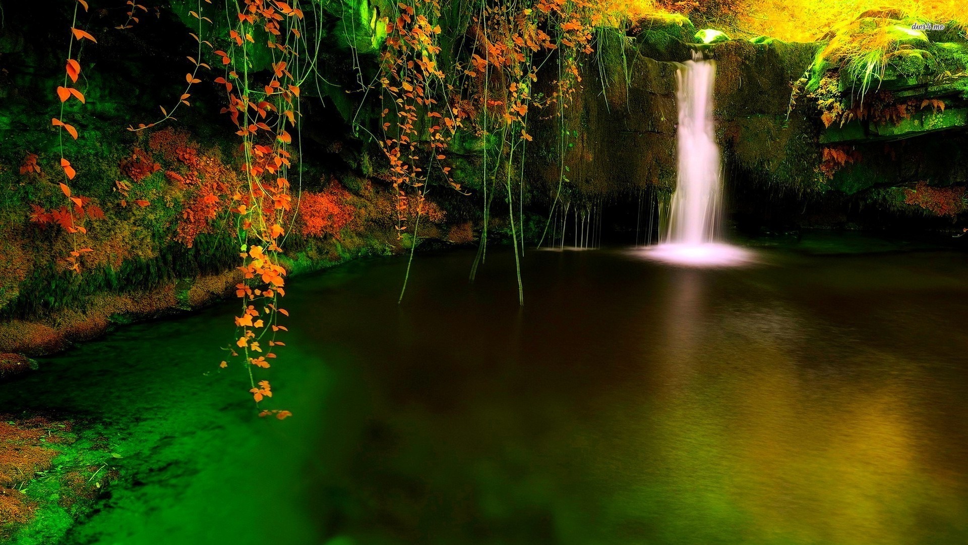 Forest Waterfall Cave Wallpaper - Tree - HD Wallpaper 