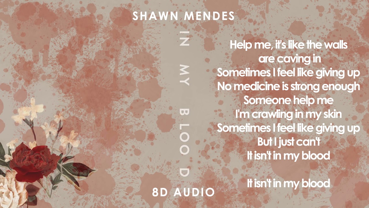 Shawn Mendes Lyrics Wallpaper Computer - HD Wallpaper 