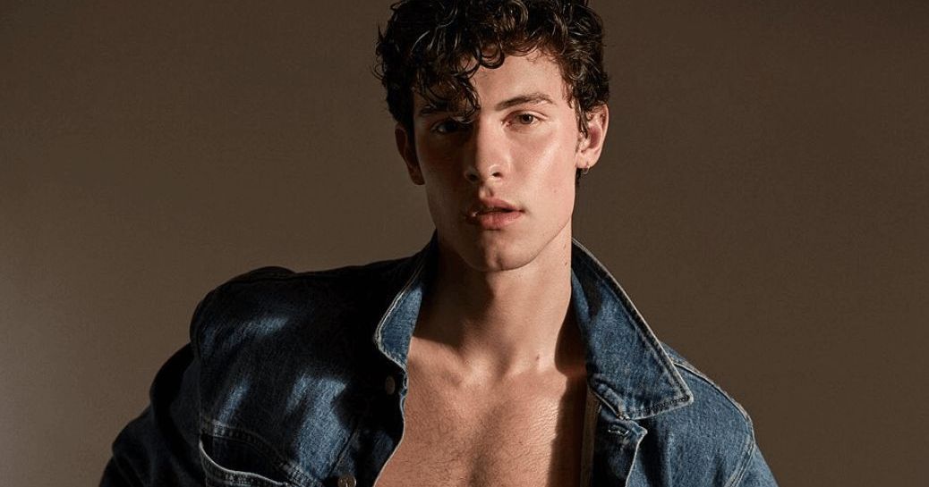 Shawn Mendes Calvin Klein Jeans - HD Wallpaper 