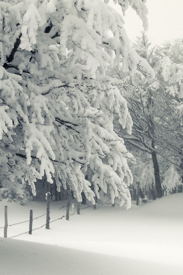 White Blanket Of Snow - HD Wallpaper 