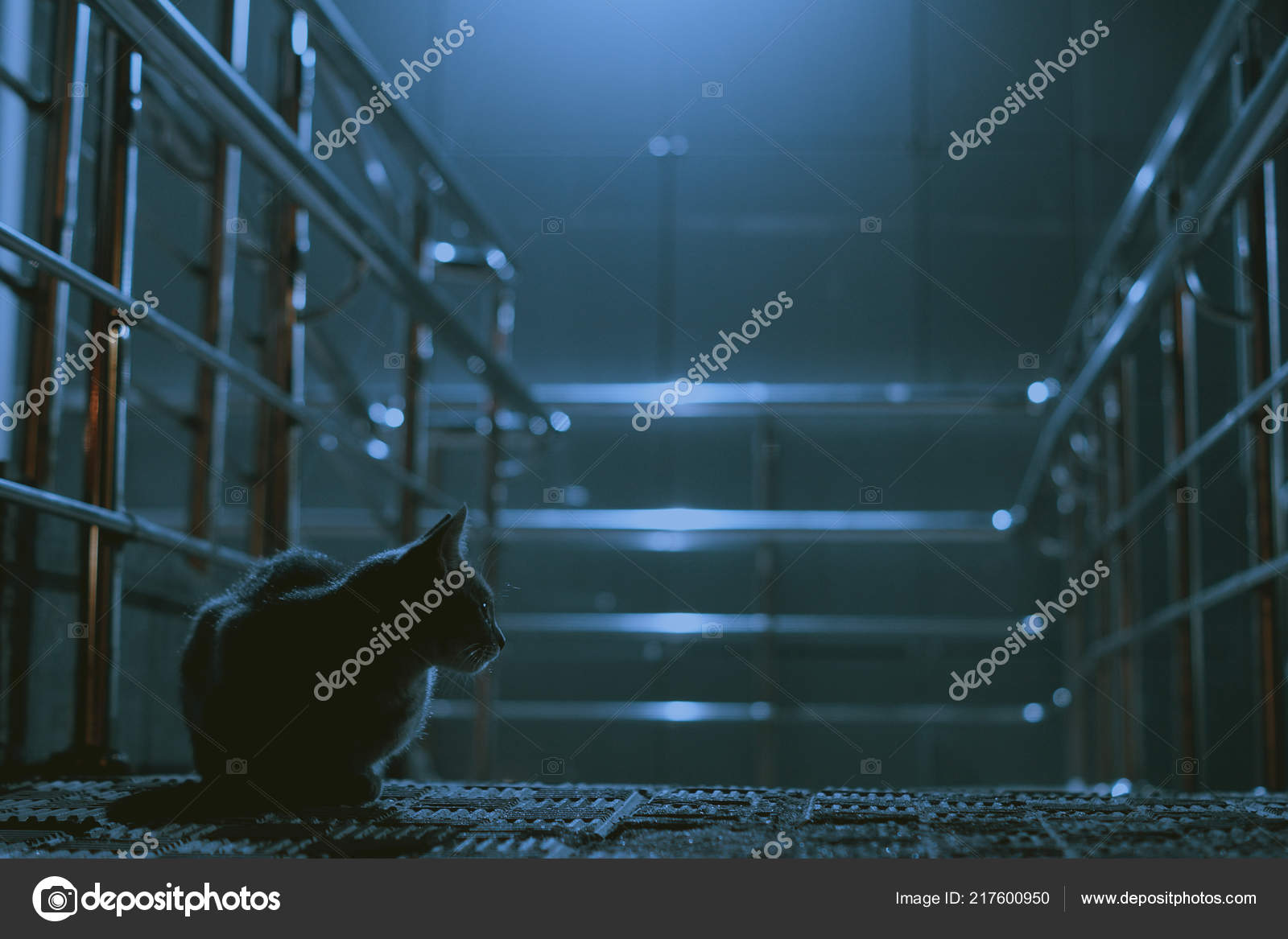 Stock Photography - HD Wallpaper 