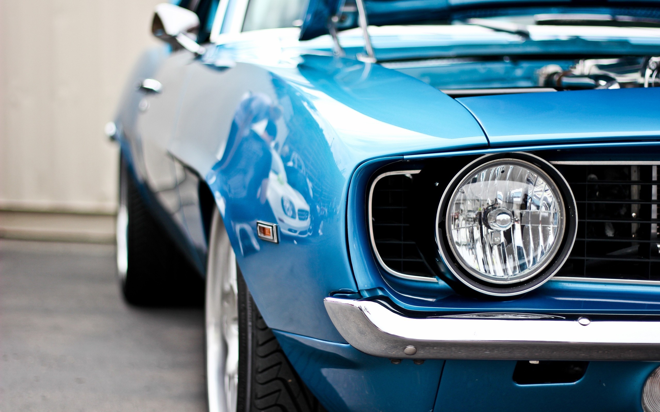 Ford Mustang Muscle Car Wallpaper Hd Muscle Car Wallpapers 1080p 2560x1600 Wallpaper Teahub Io