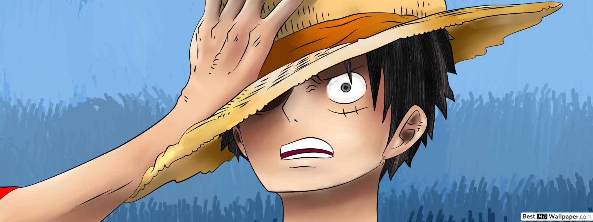 Monkey D. Luffy - HD Wallpaper 