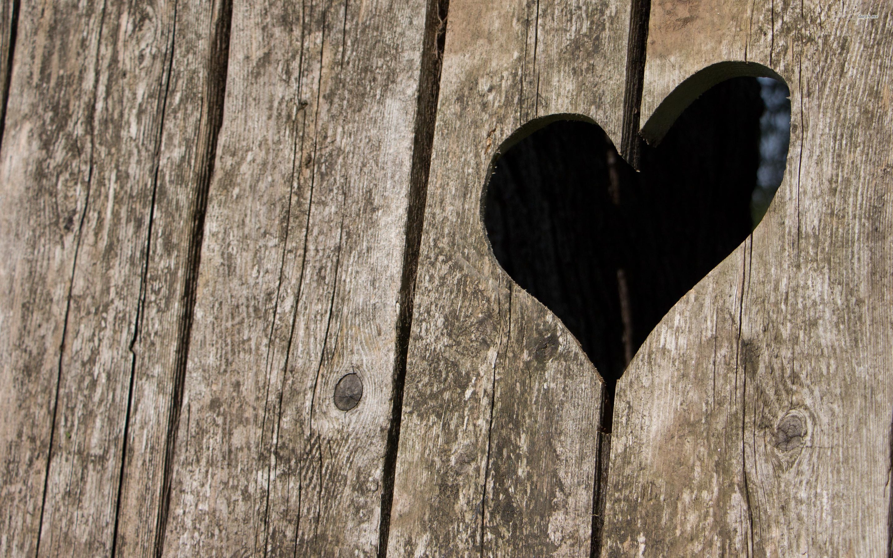 Wallpaper - HD Wallpaper 