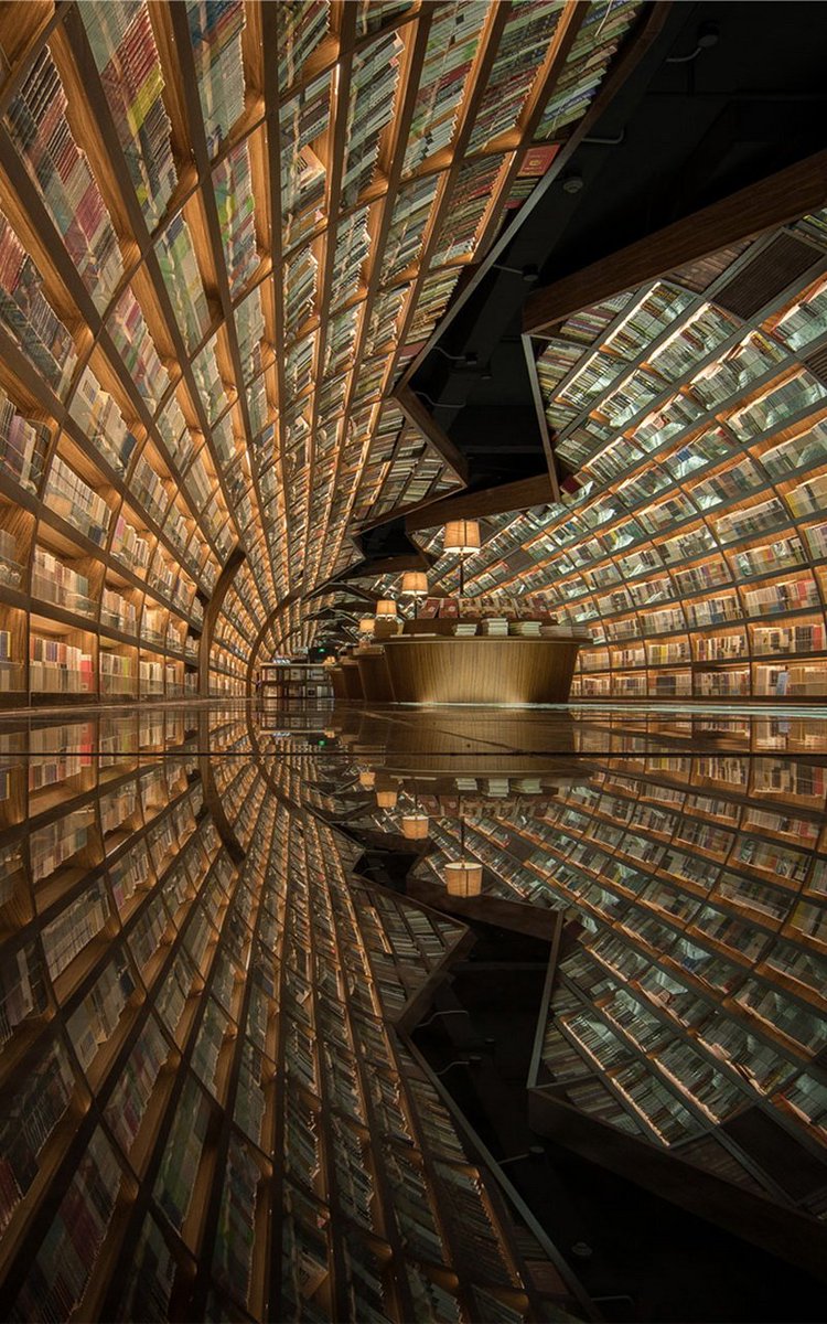 Whimsical Library - HD Wallpaper 