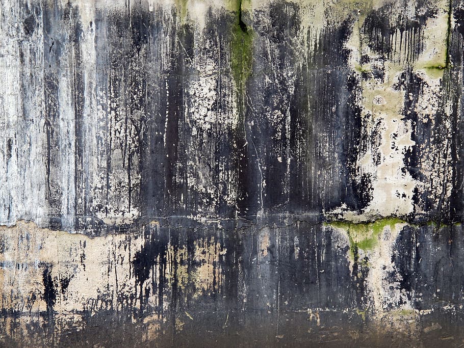 Gray And White Abstract Artwork, Texture, Background, - Tree - HD Wallpaper 