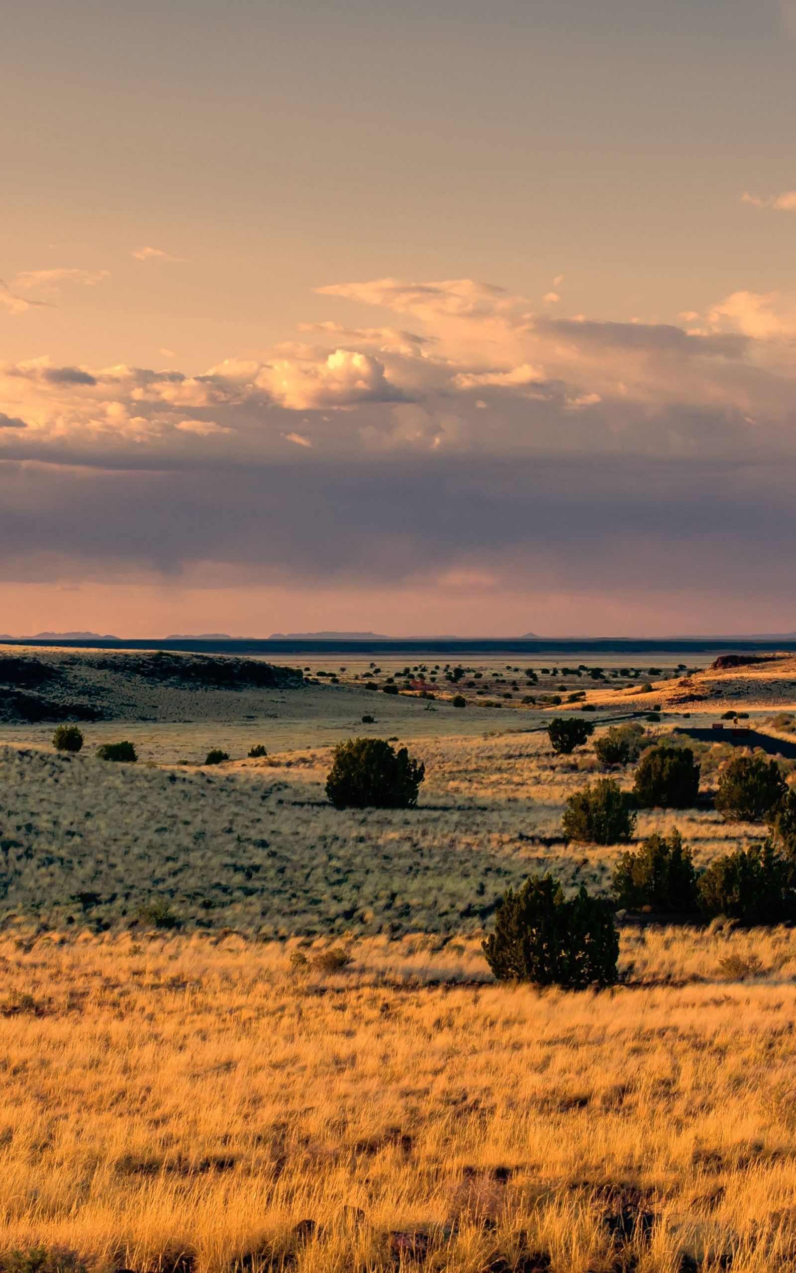 Prairie At Sunset - Prärie Wallpaper 4k - 1600x2560 Wallpaper 