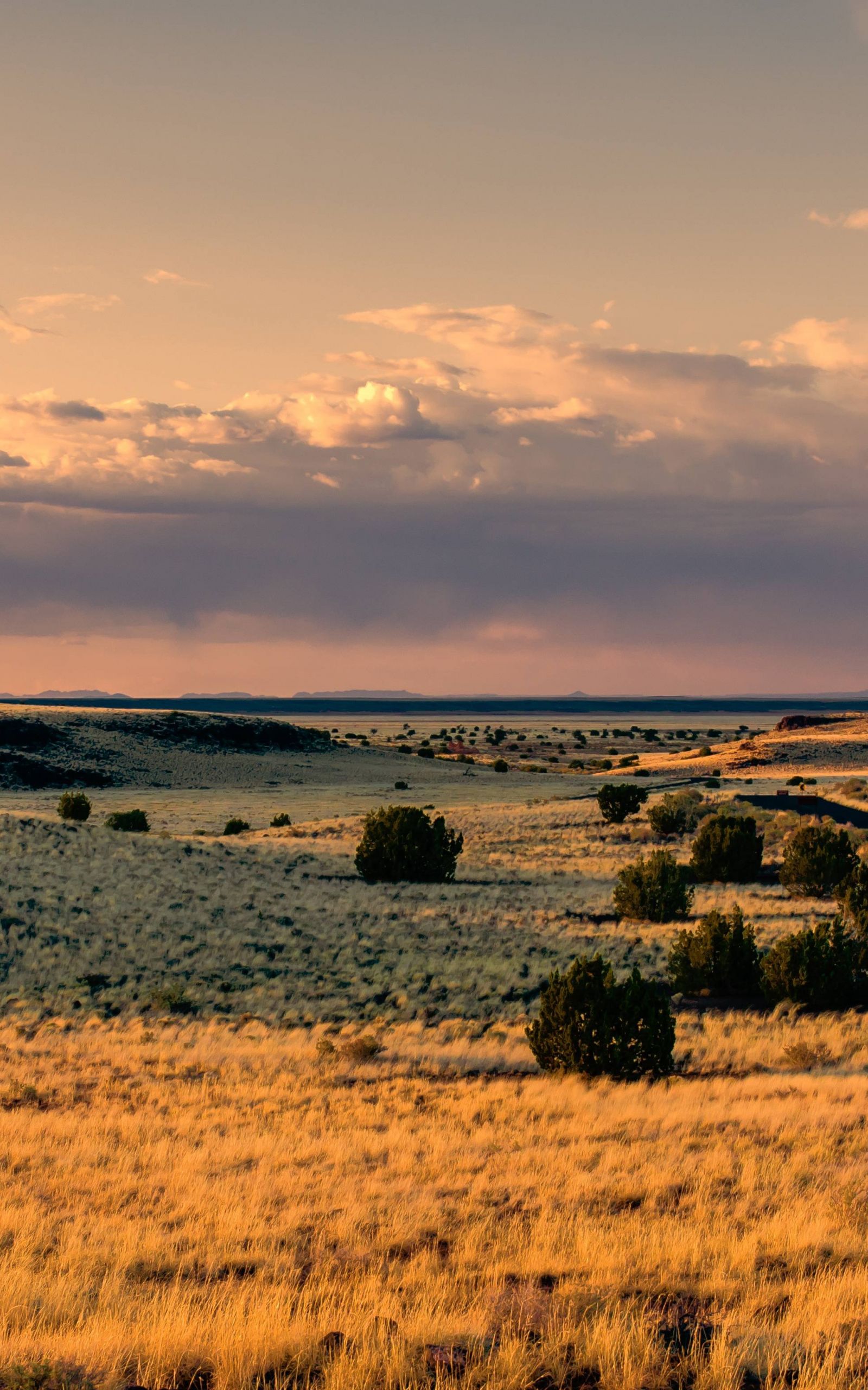 Prairie At Sunset - Prärie Wallpaper 4k - 1600x2560 Wallpaper Prairie At Sunset - Prärie Wallpaper 4k - 1600x2560 Wallpaper