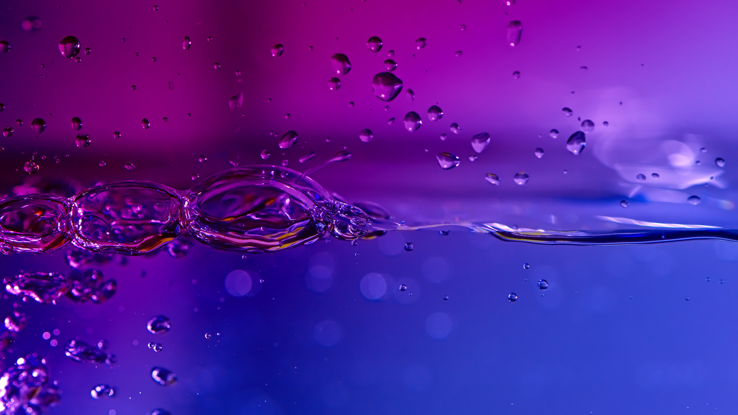 Wallpaper - HD Wallpaper 