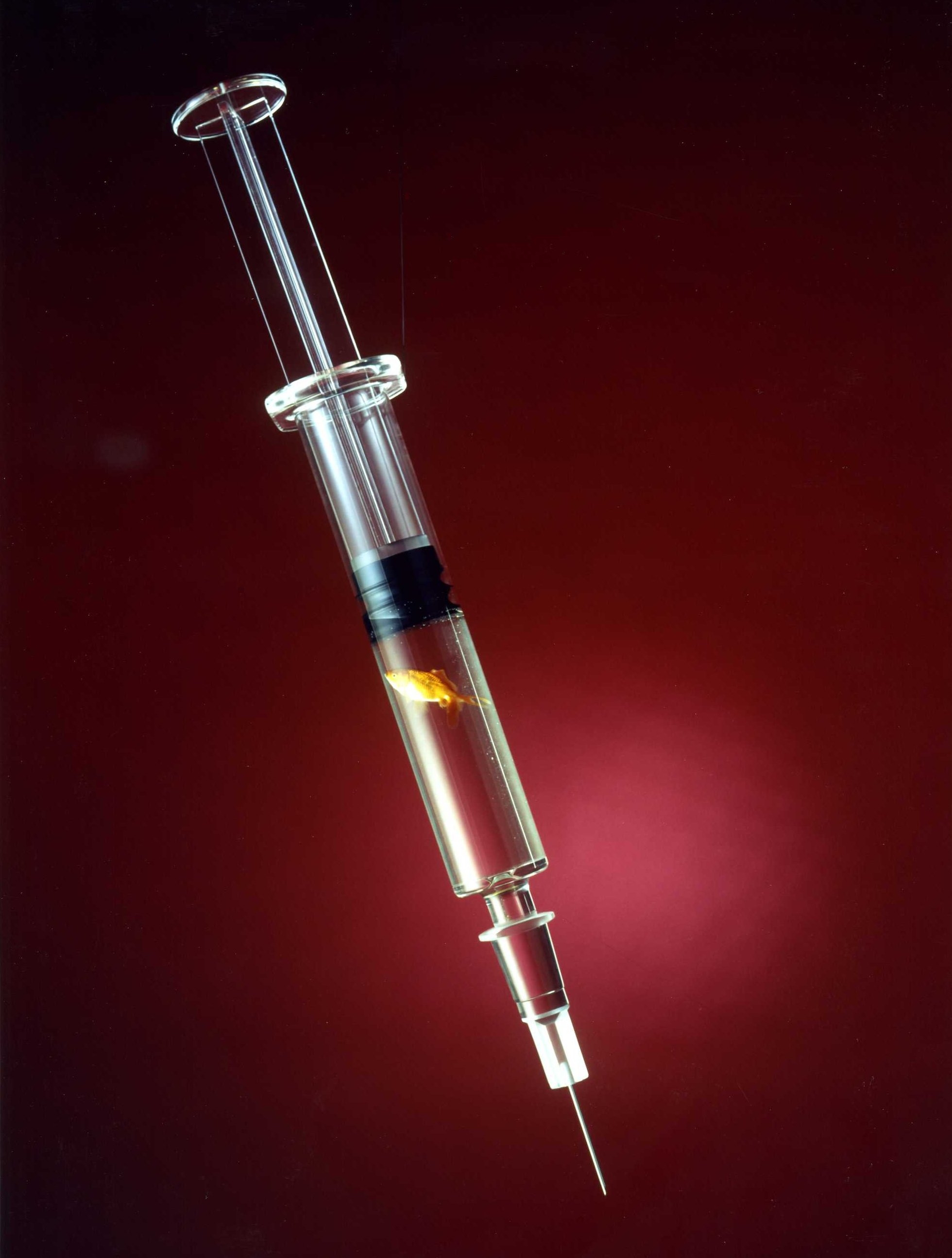 Syringe Wallpaper Hd - 1960x2590 Wallpaper - teahub.io