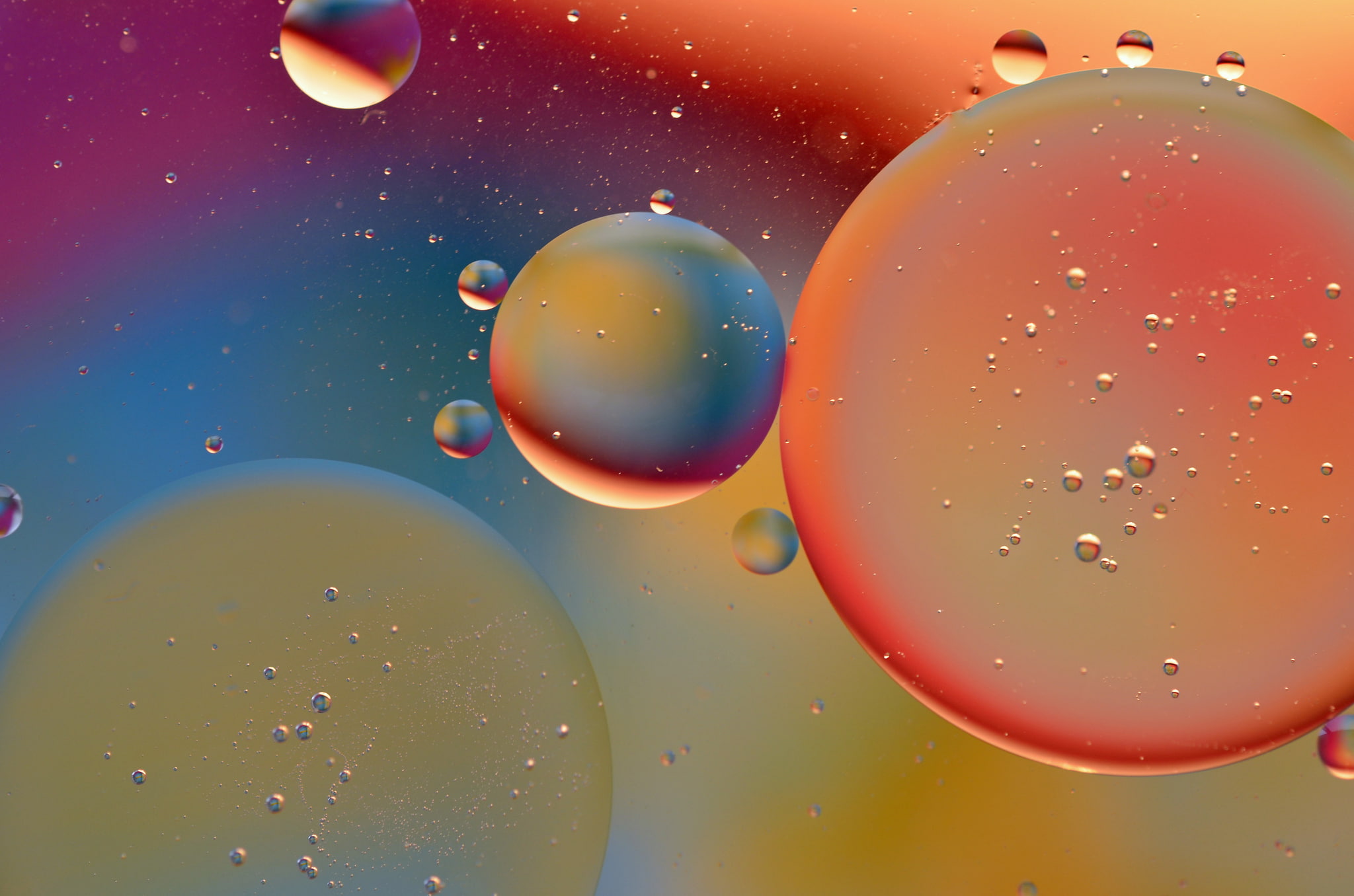 Wallpaper - HD Wallpaper 