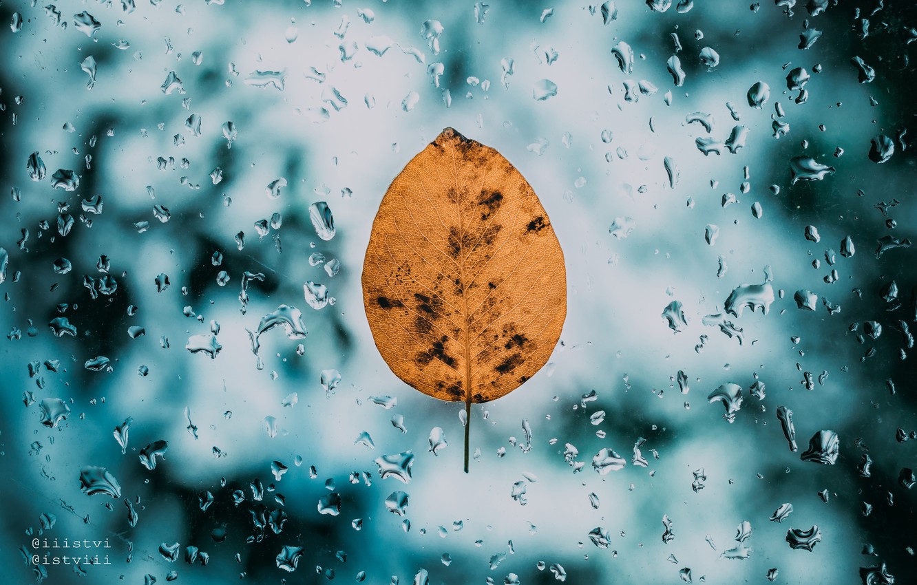 Photo Wallpaper Abstract, White, Wet, Rain, Blue, Water, - Illustration - HD Wallpaper 