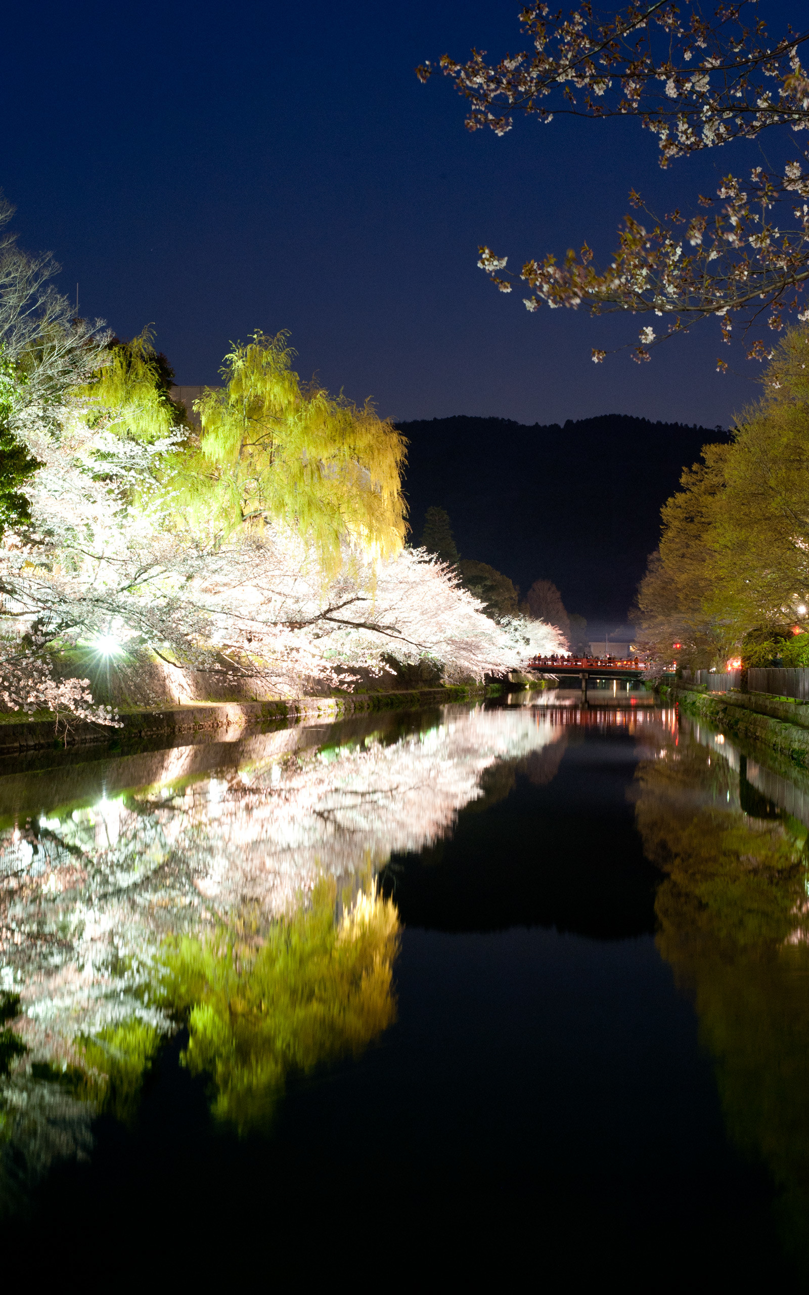 Pics For > Vertical Desktop Wallpaper 
 Data-src - Background In Portrait Mode - HD Wallpaper 