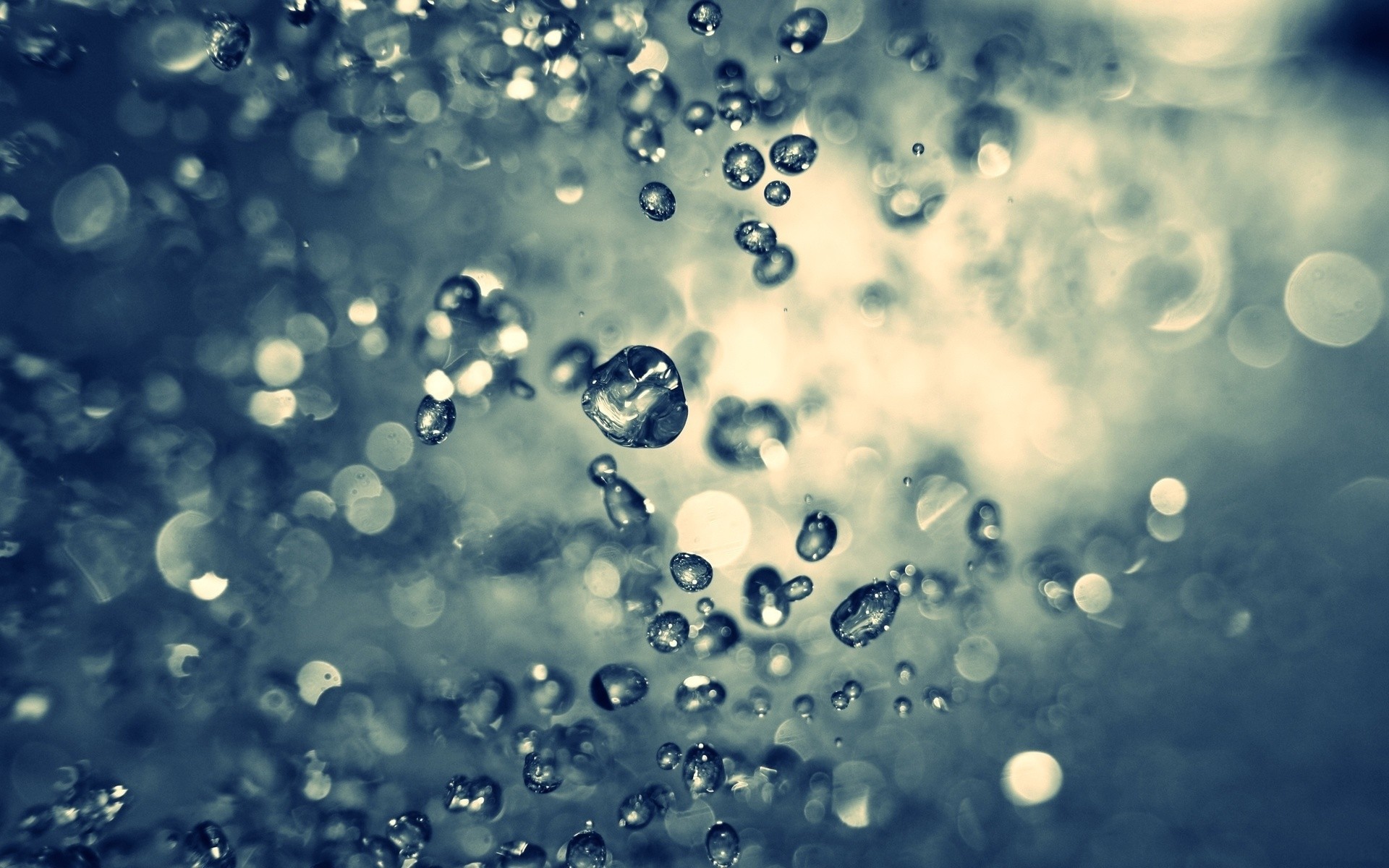 Wallpaper - HD Wallpaper 