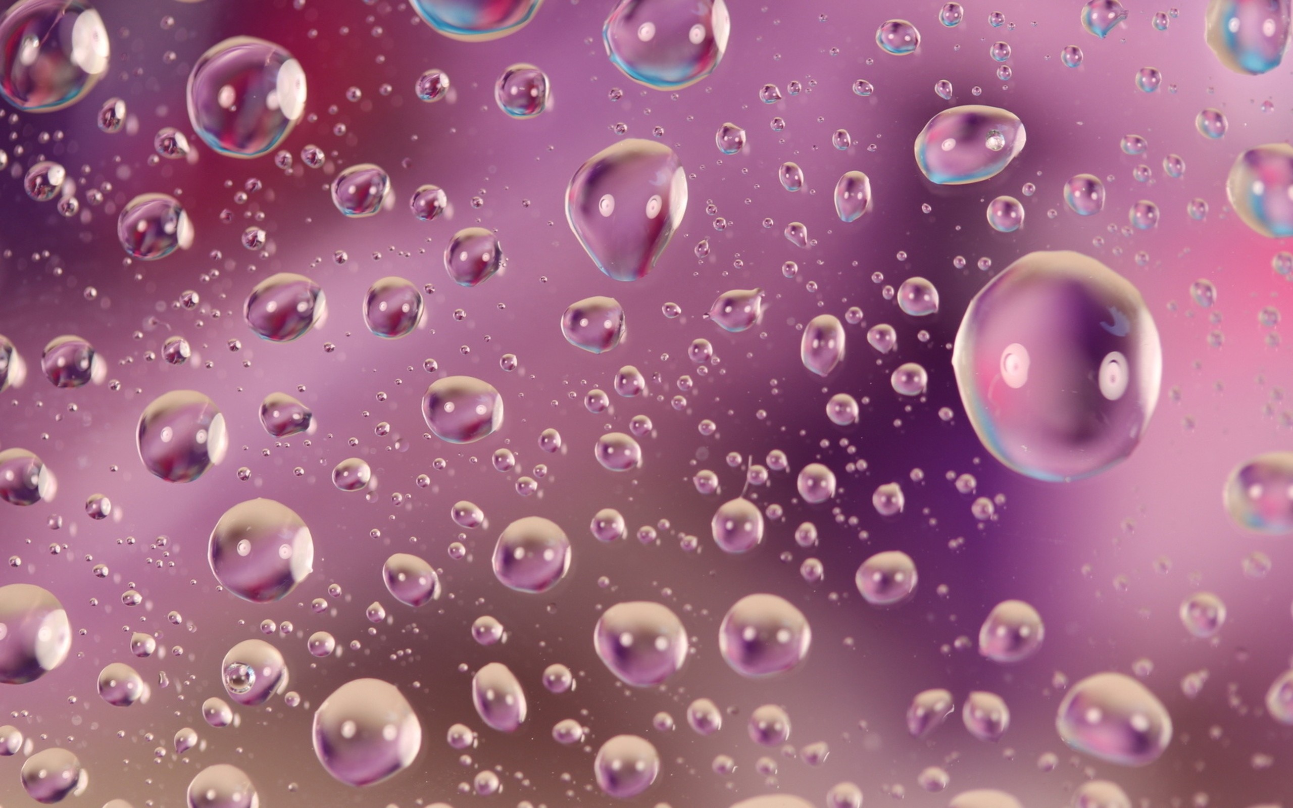 Wallpaper Drop, Surface, Wet, Bubbles 
 Data-src /w/full/b/f/3/59423 - Pink Bubble Wallpaper Iphone - HD Wallpaper 