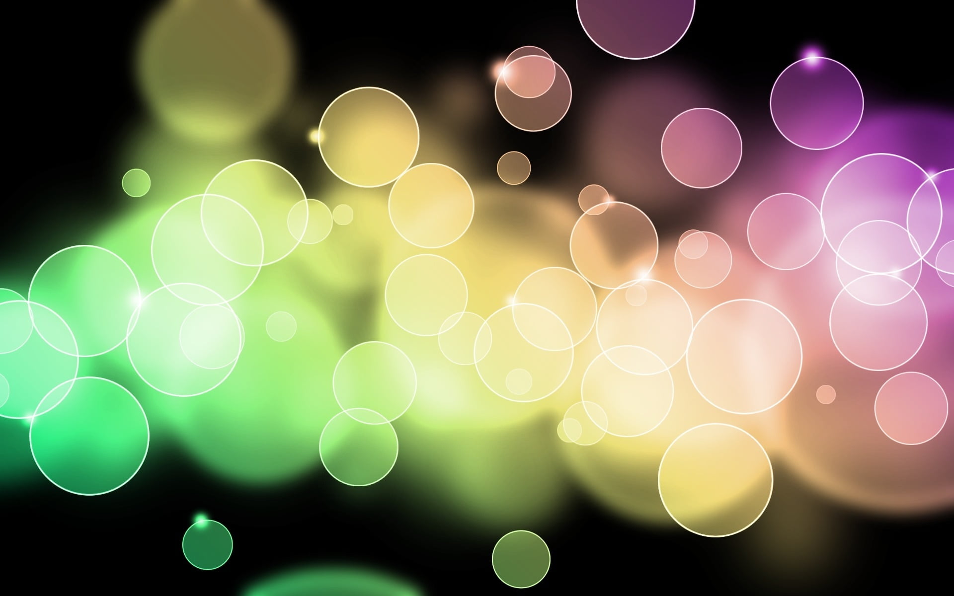 Wallpaper - HD Wallpaper 