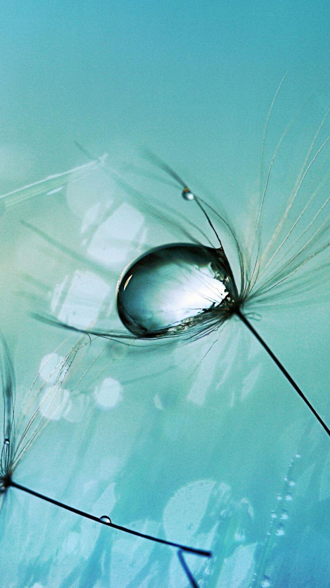 Beautiful Wallpapers For Phone Display - HD Wallpaper 